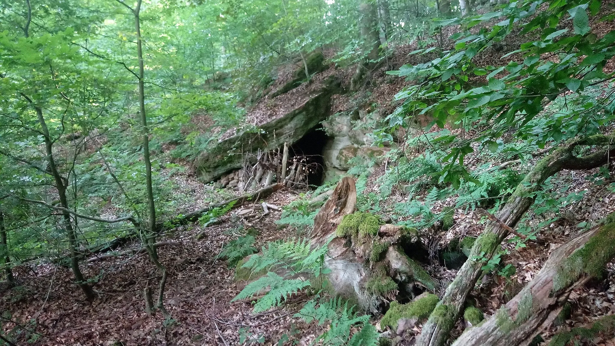 Photo showing: Zigeunerhöhle SE von Heppdiel (Höhle bei Eichenbühl)