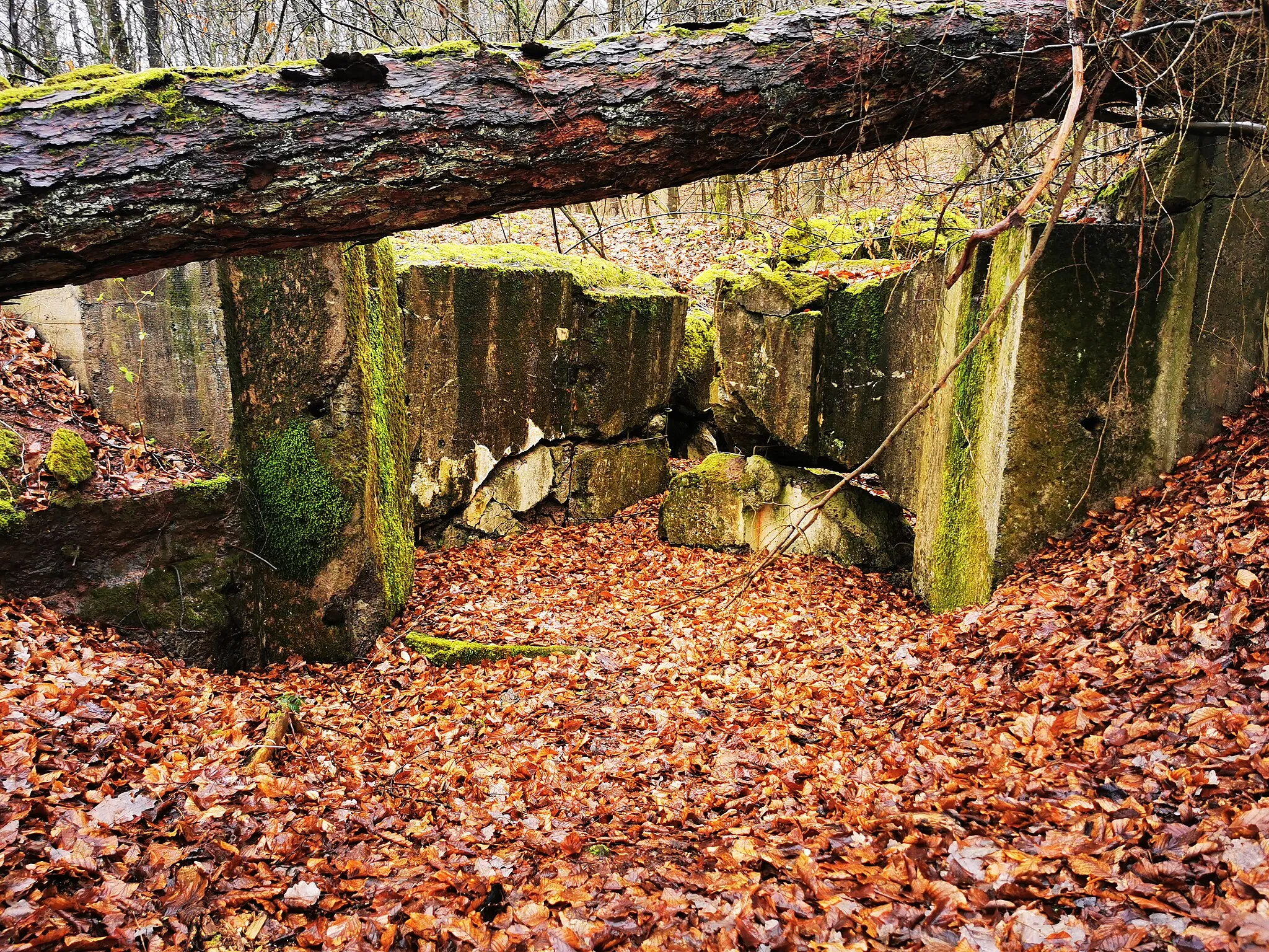 Photo showing: Gesprengter Bunker mit der Nummer 90 der Wetterau-Main-Tauber-Stellung östlich von Niedermittlau