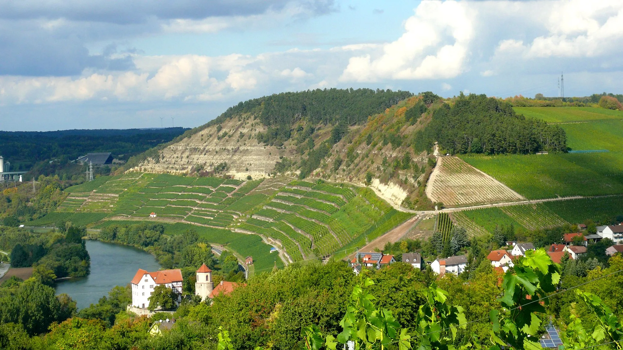 Photo showing: Kallmuth bei Homburg am Main; Blick aufs NSG „Kallmuth“ oberhalb der Weinhänge