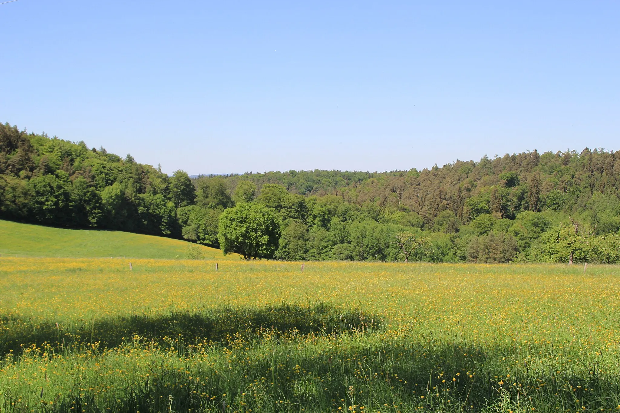 Photo showing: Der Rochusberg von Richtung Geiselbach aus gesehen