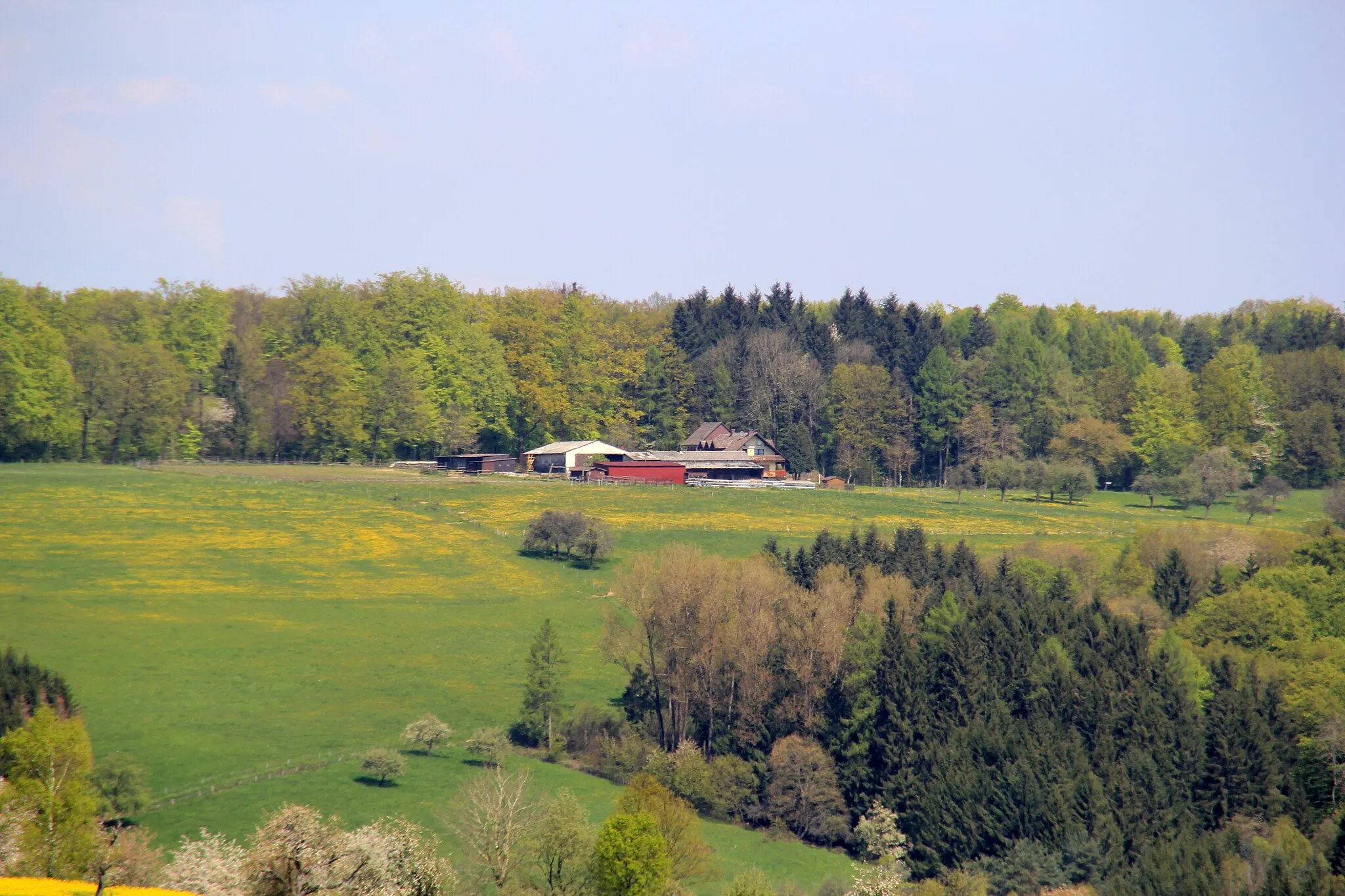 Photo showing: Fohnbügel bei Geiselbach von Südosten