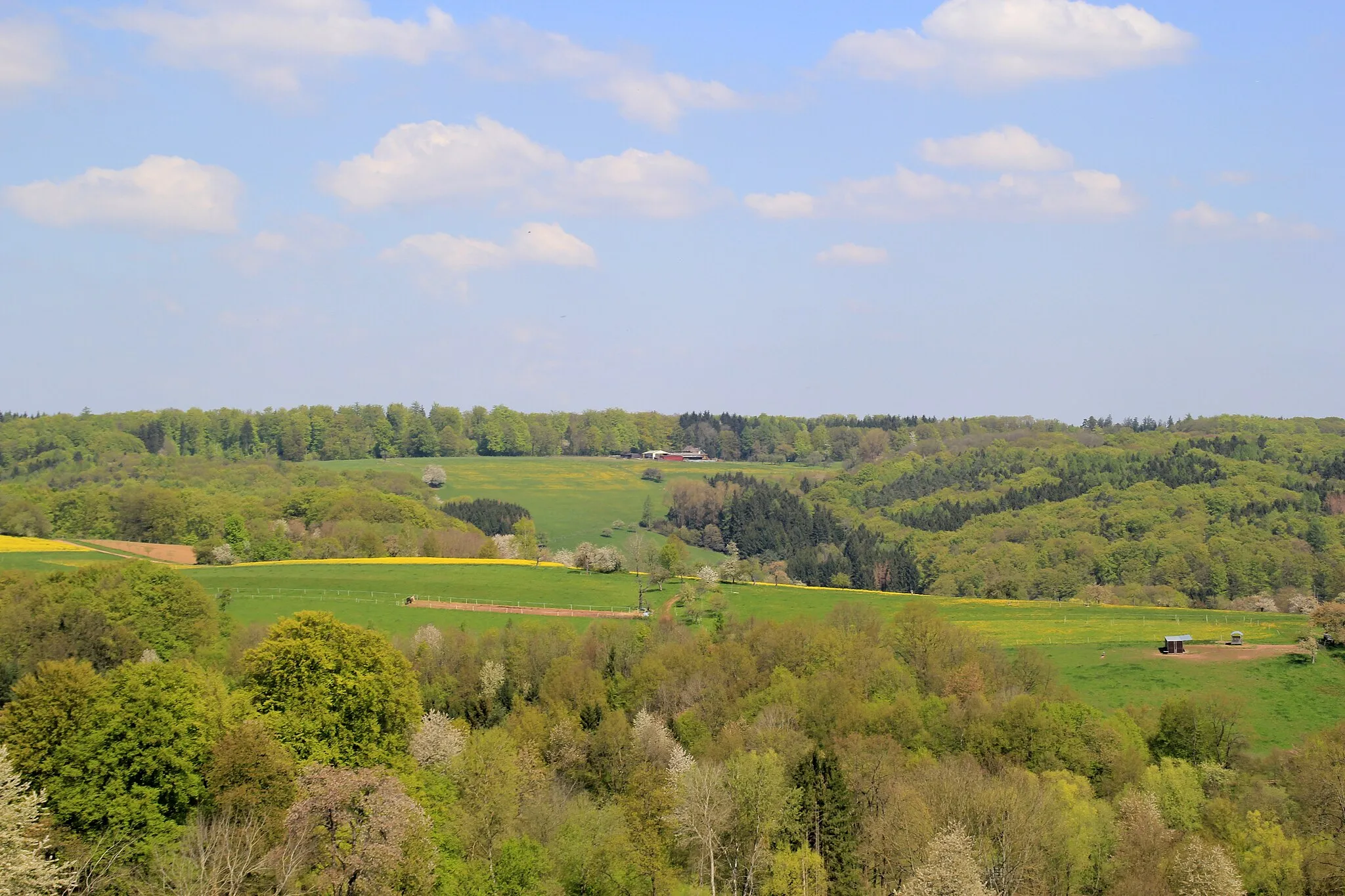 Photo showing: Landschaft um den Frohnbügel