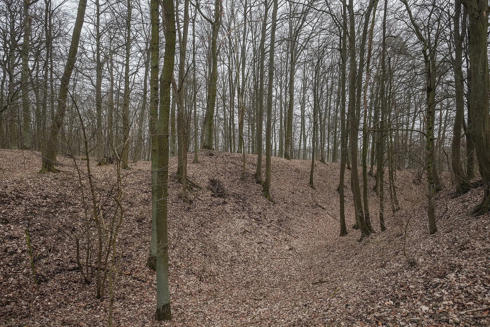 Photo showing: Place of a demolished castle near Maria-Bildhausen, Münnerstadt, county Rhön-Grabfeld, Bavaria,  Germany