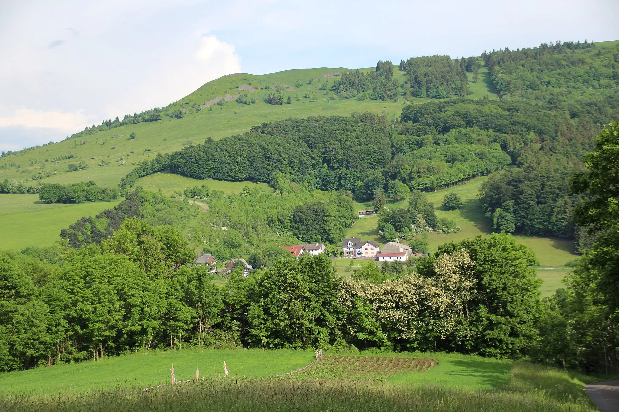 Photo showing: Blick vom Bereich zwischen Weiherkuppe und Abtsroda etwa südostwärts zur Abtsrodaer Kuppe. Weiter nach rechts setzt sich das Wasserkuppenmassiv in Richtung Hauptgipfel fort