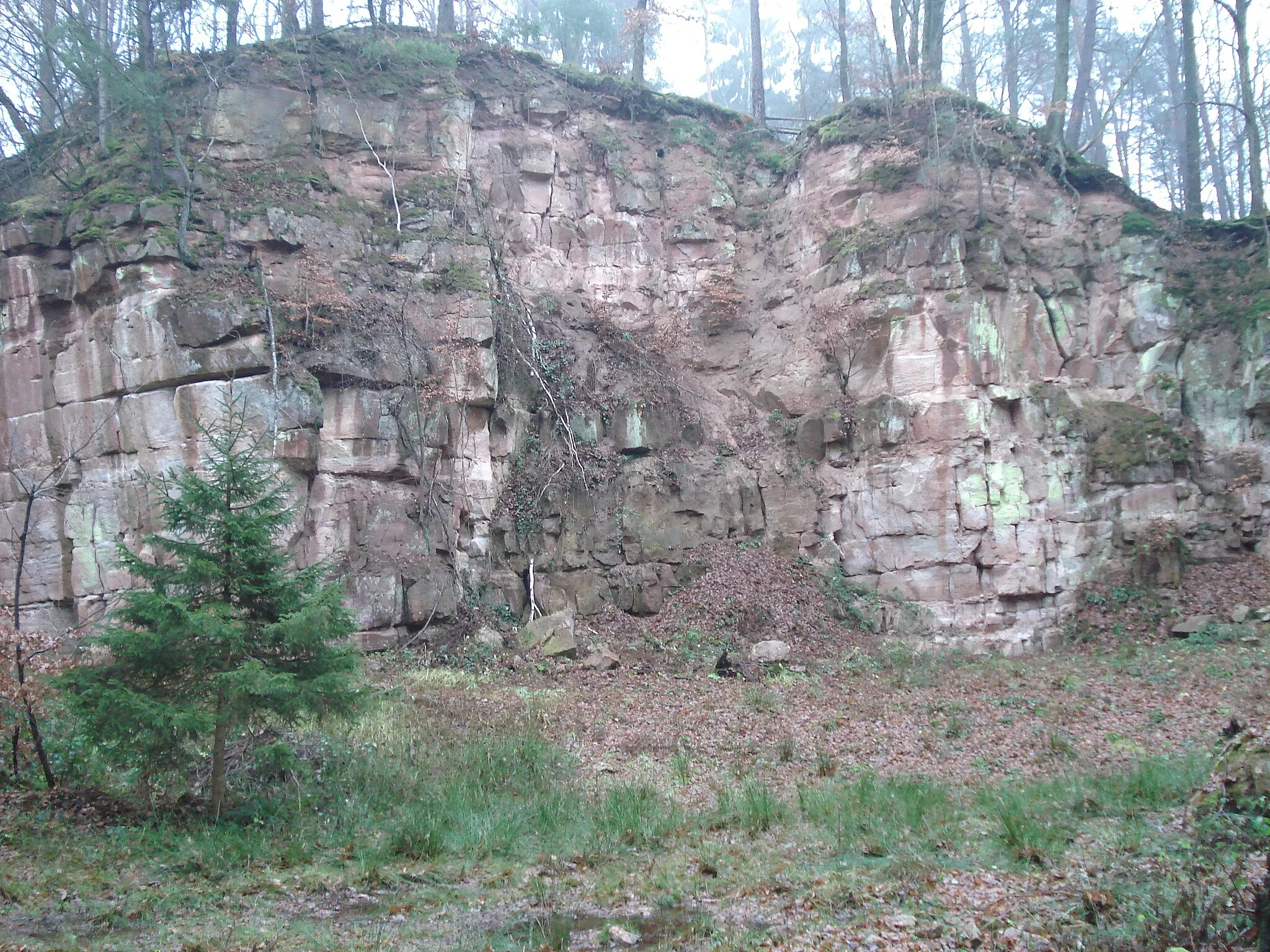 Photo showing: Der westliche Steinbruch auf dem Gipfel des Gräfenberges
