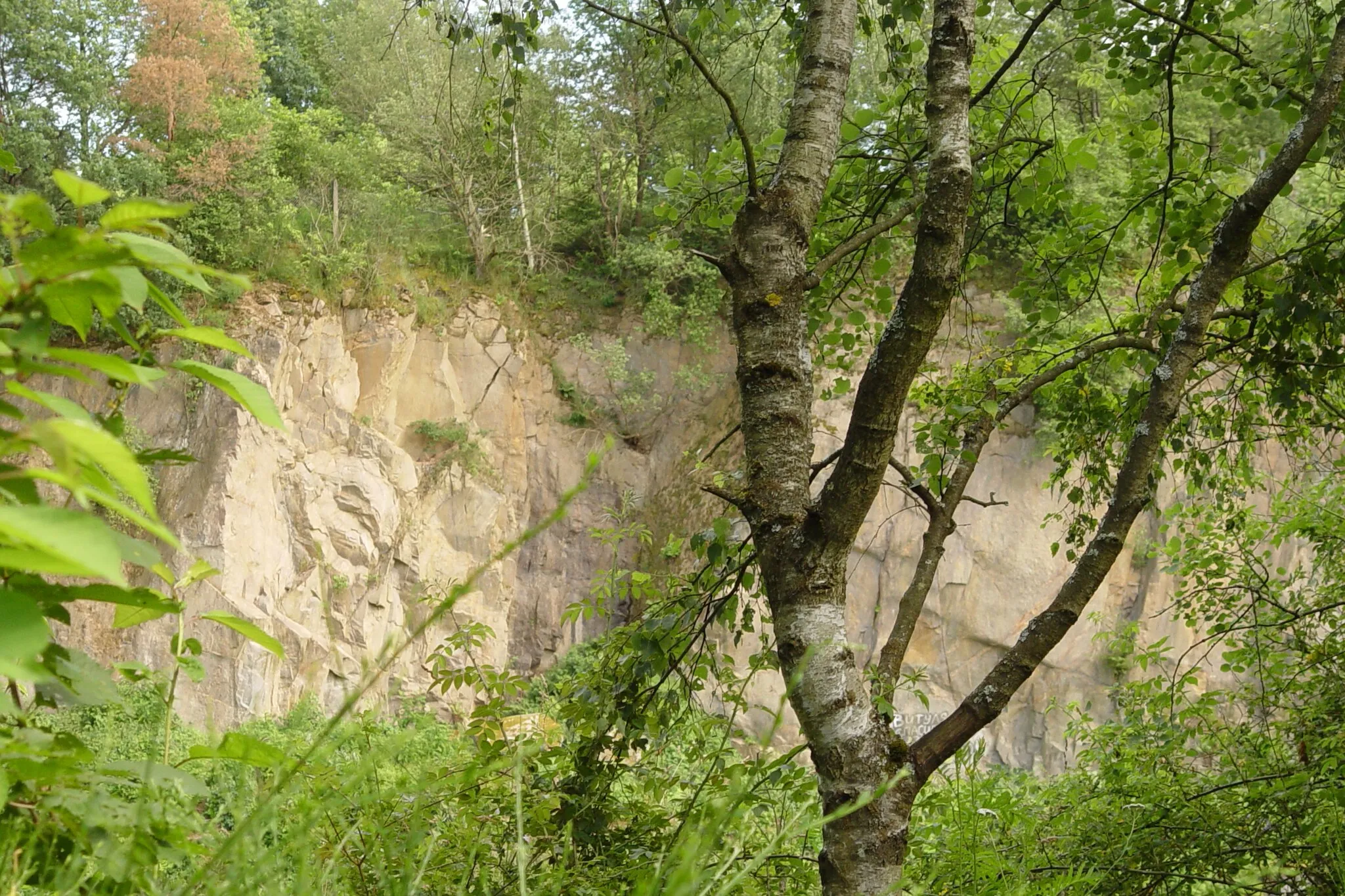 Photo showing: Bavaria, Haibach, Geotope 671a032 (quarry at Wendelberg)