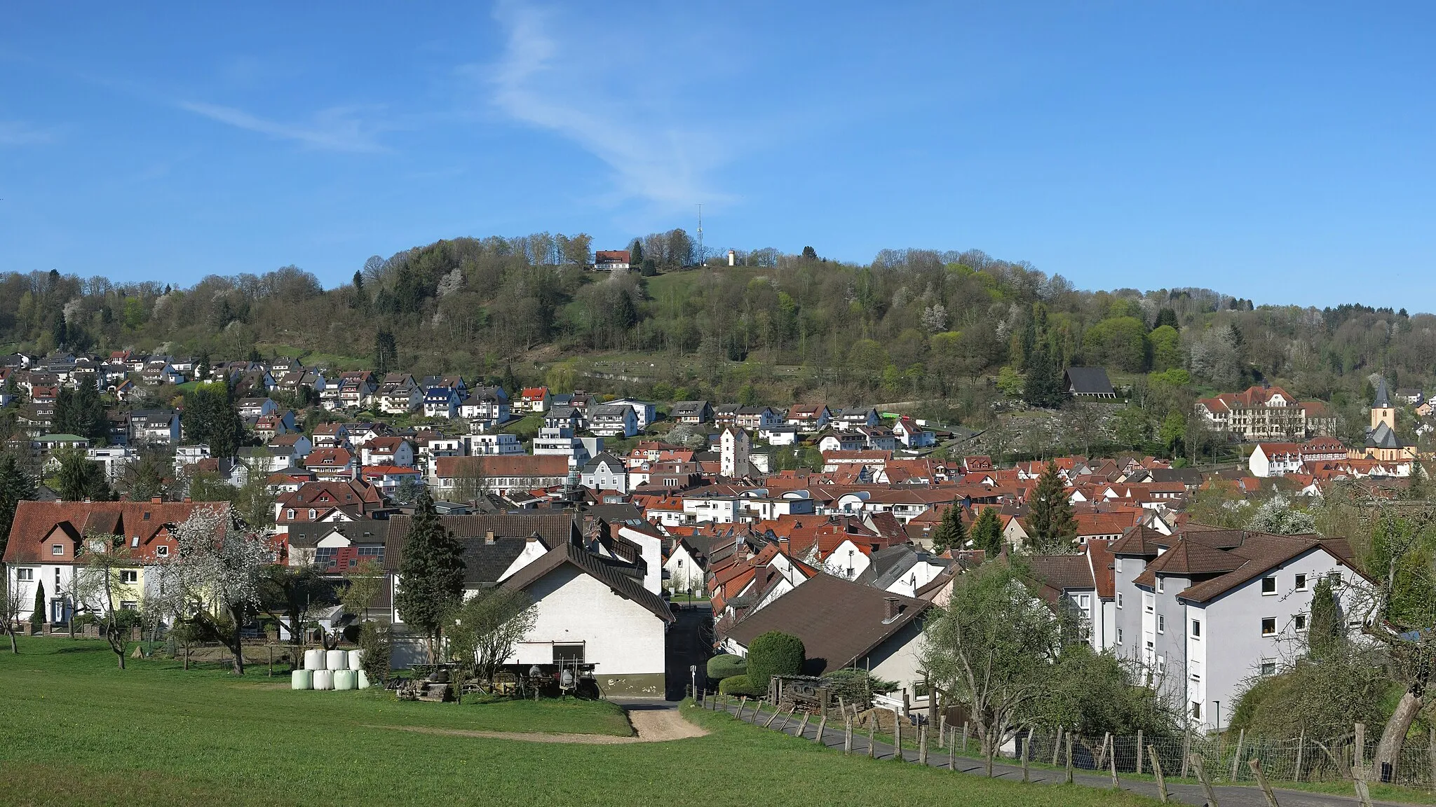 Photo showing: The Molkenberg near Bad Orb, seen from the east