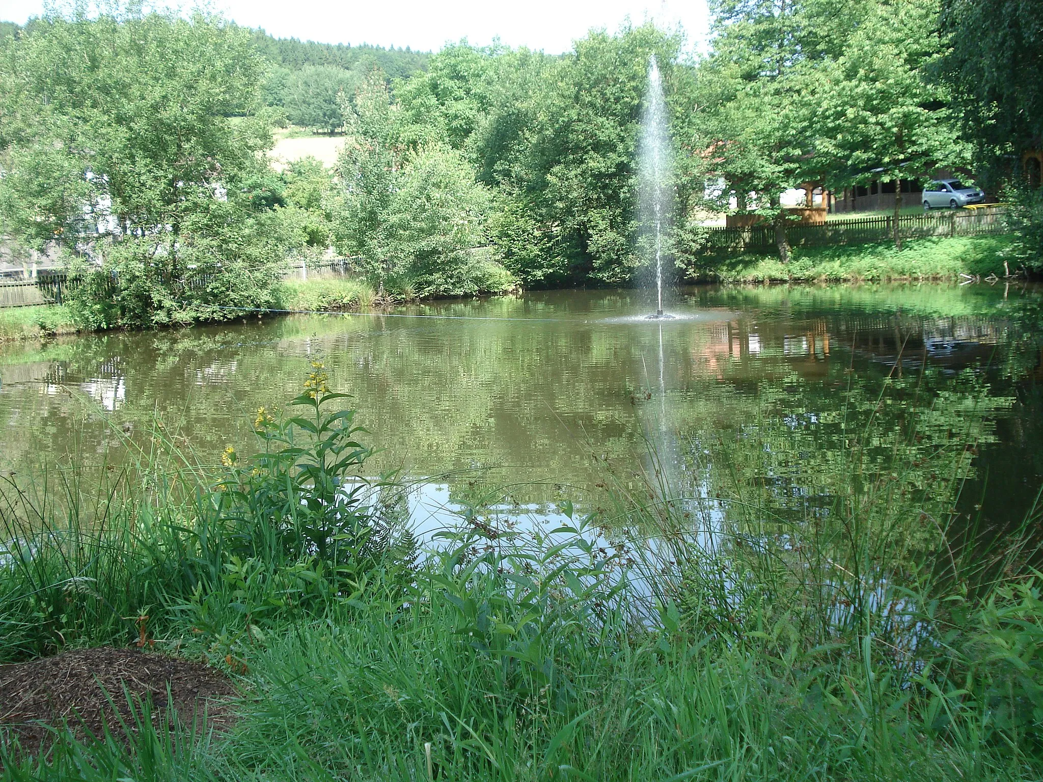 Photo showing: Ein Weiher in Wildensee. Ihm entfließt der Aubach.