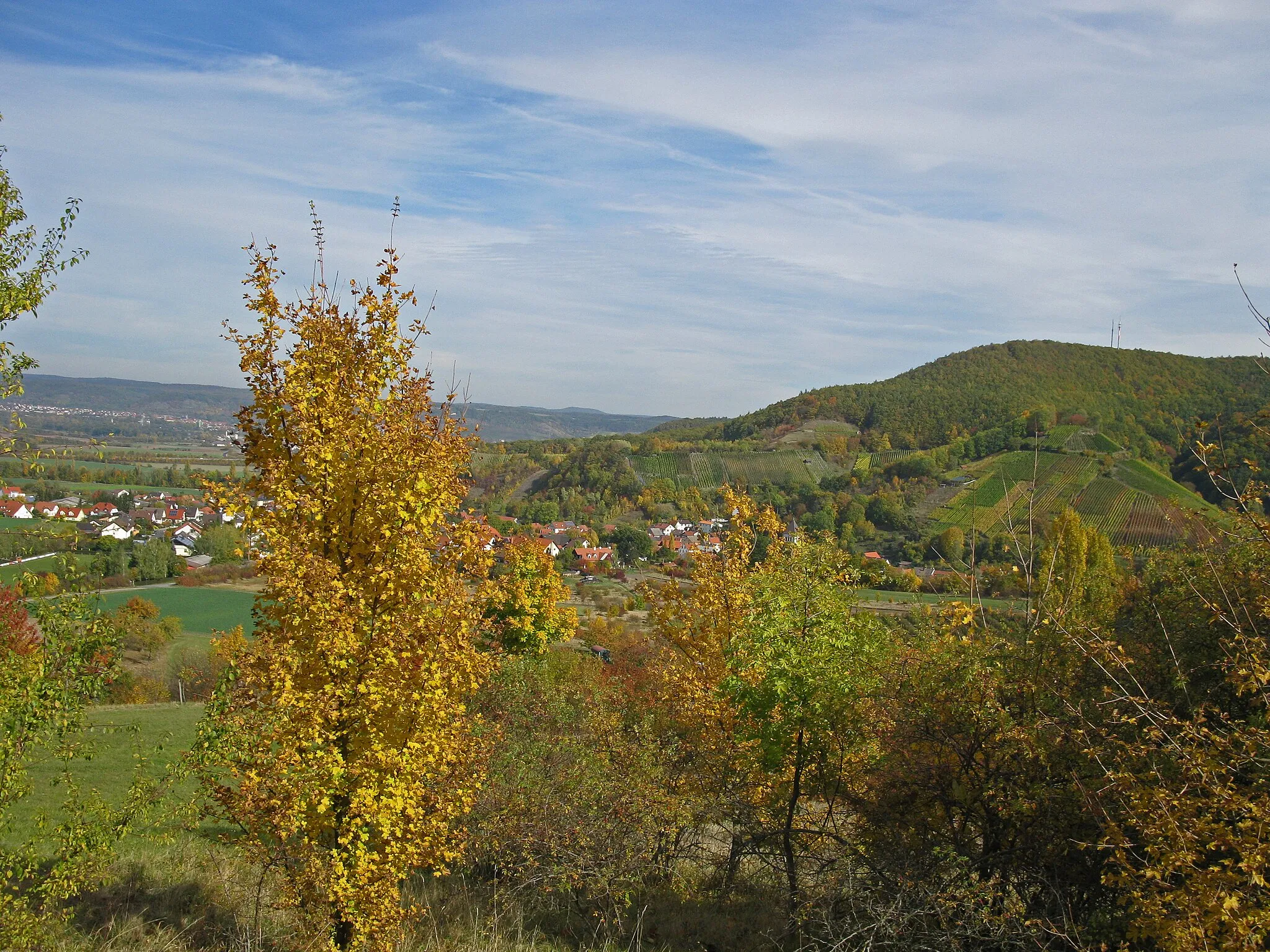 Photo showing: FFH-Gebiet "Buchenwälder und Wiesentäler des Nordsteigerwalds"