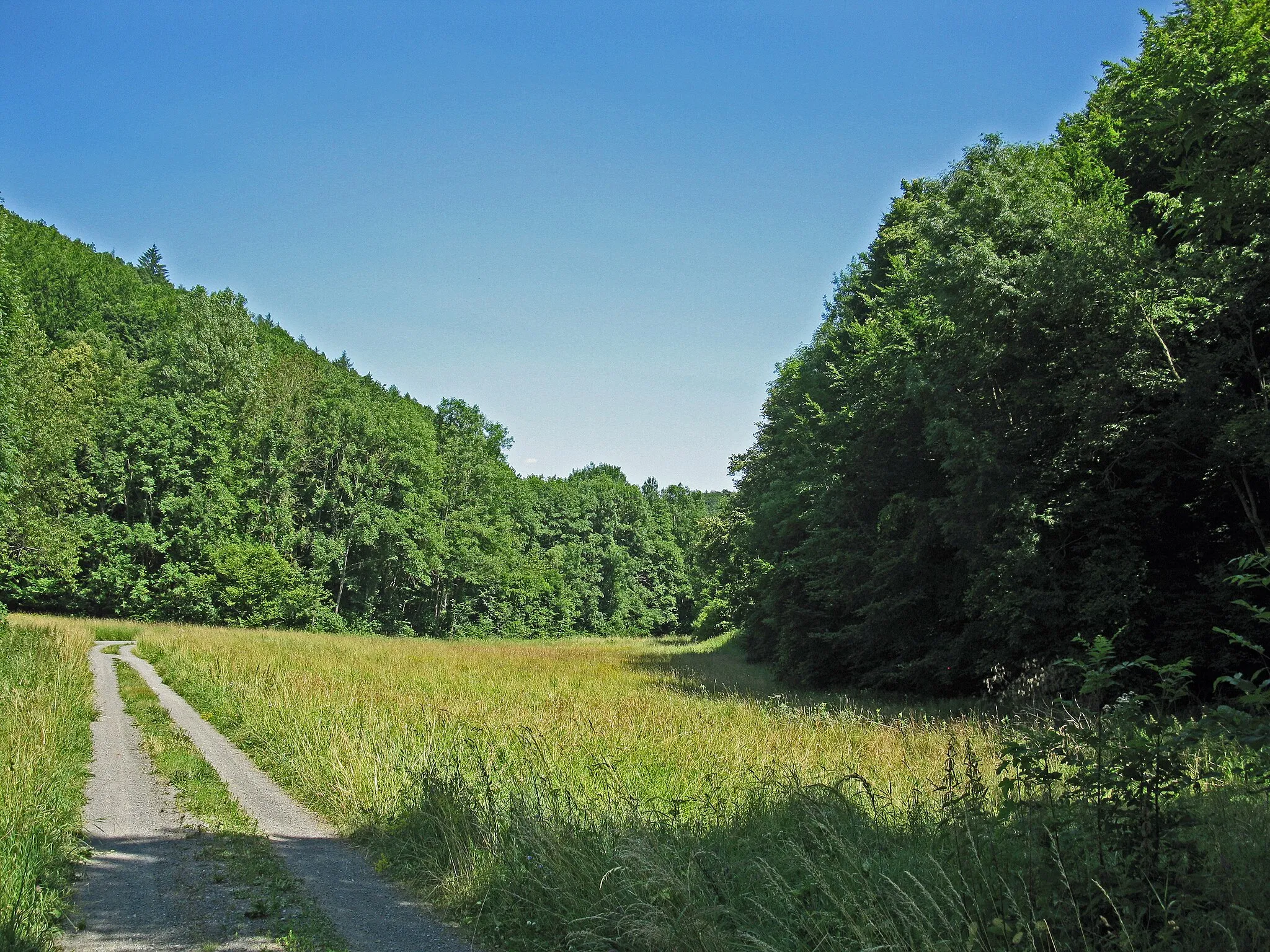 Photo showing: FFH-Gebiet "Buchenwälder und Wiesentäler des Nordsteigerwalds"