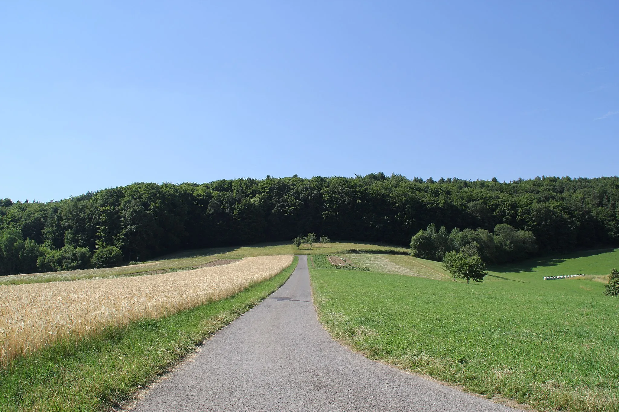 Photo showing: Der Gipfelbereich der Stempelhöhe bei Mömbris-Hohl, Bayern