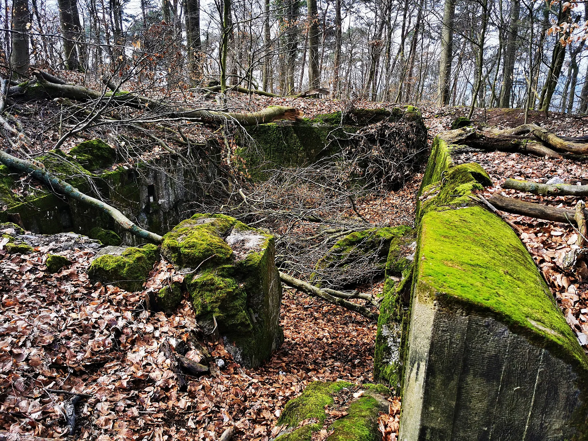 Photo showing: Gesprengter Bunker mit der Nummer 77 der Wetterau-Main-Tauber-Stellung östlich von Meerholz