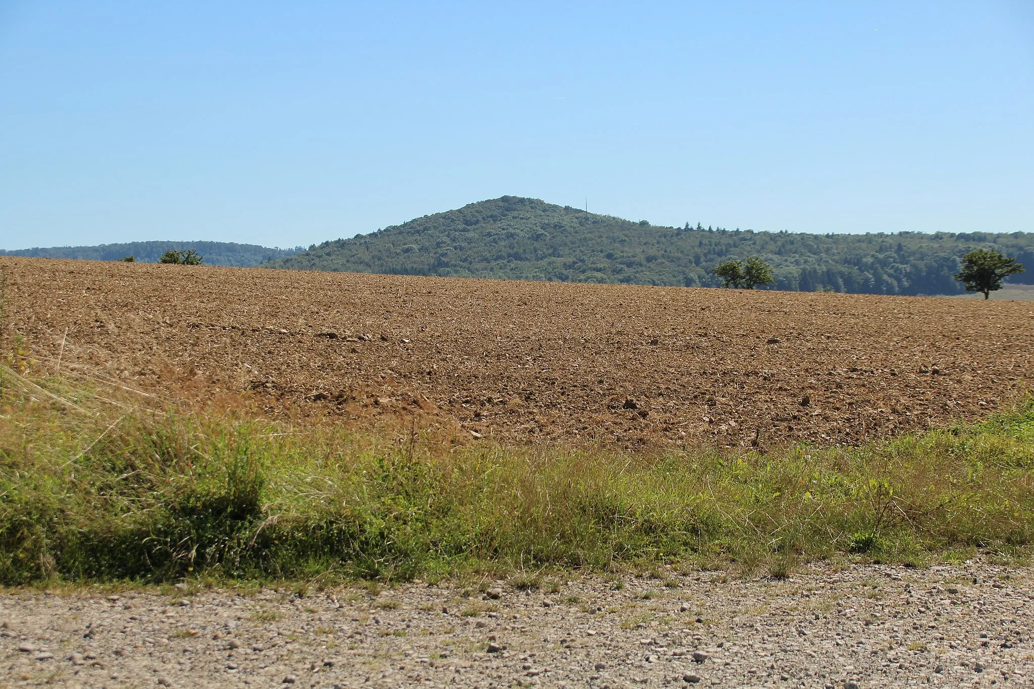 Photo showing: Blick aus etwa nördlicher Richtung (Standort etwa westlich von Großentaft) südwärts auf den Morsberg