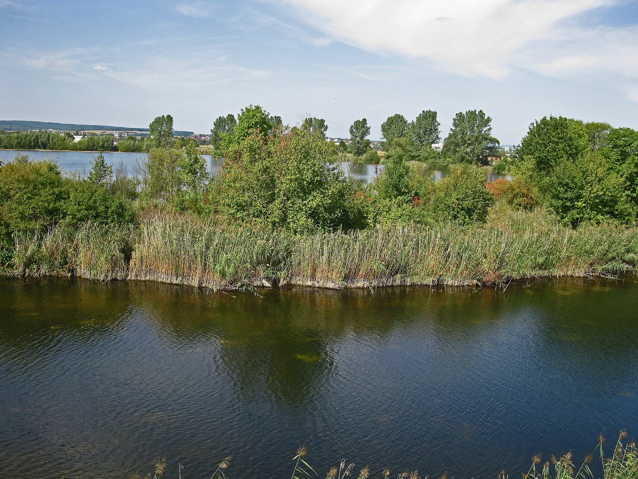 Photo showing: Sichelsee im NSG Mainaue bei Augsfeld