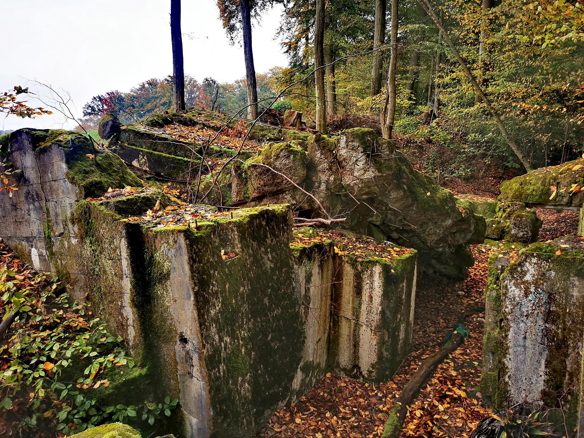 Photo showing: Gesprengter Bunker mit der Nummer 137 der Wetterau-Main-Tauber-Stellung südwestlich von Altenmittlau
