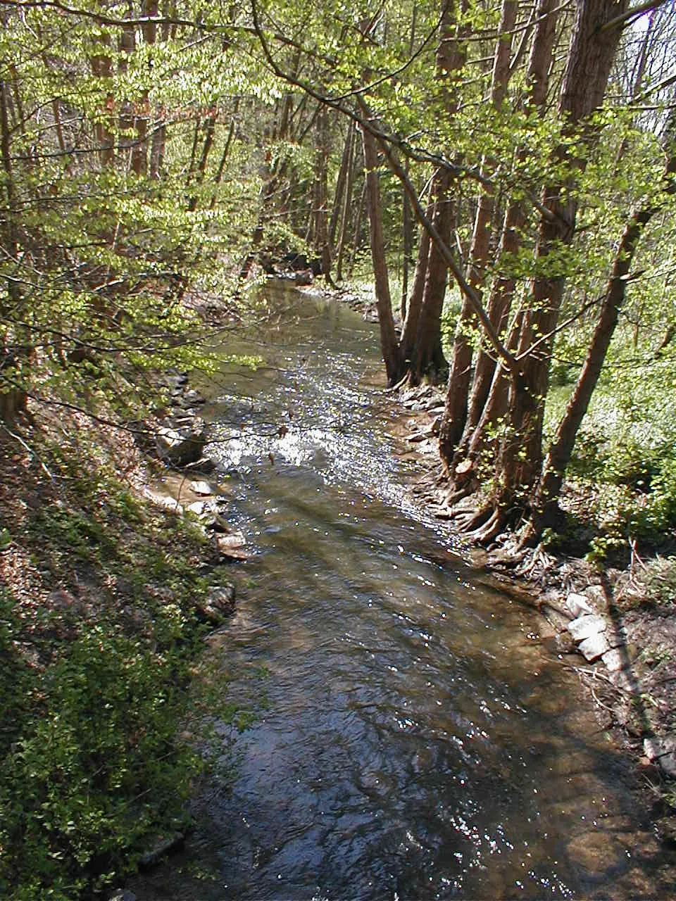 Photo showing: Elsava creek at Hobbach (Markt Eschau) in the Spessart Mountains / Germany