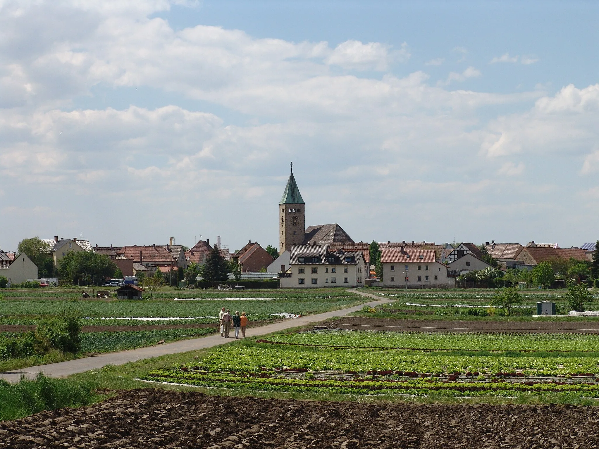 Photo showing: Sennfeld-von Osten