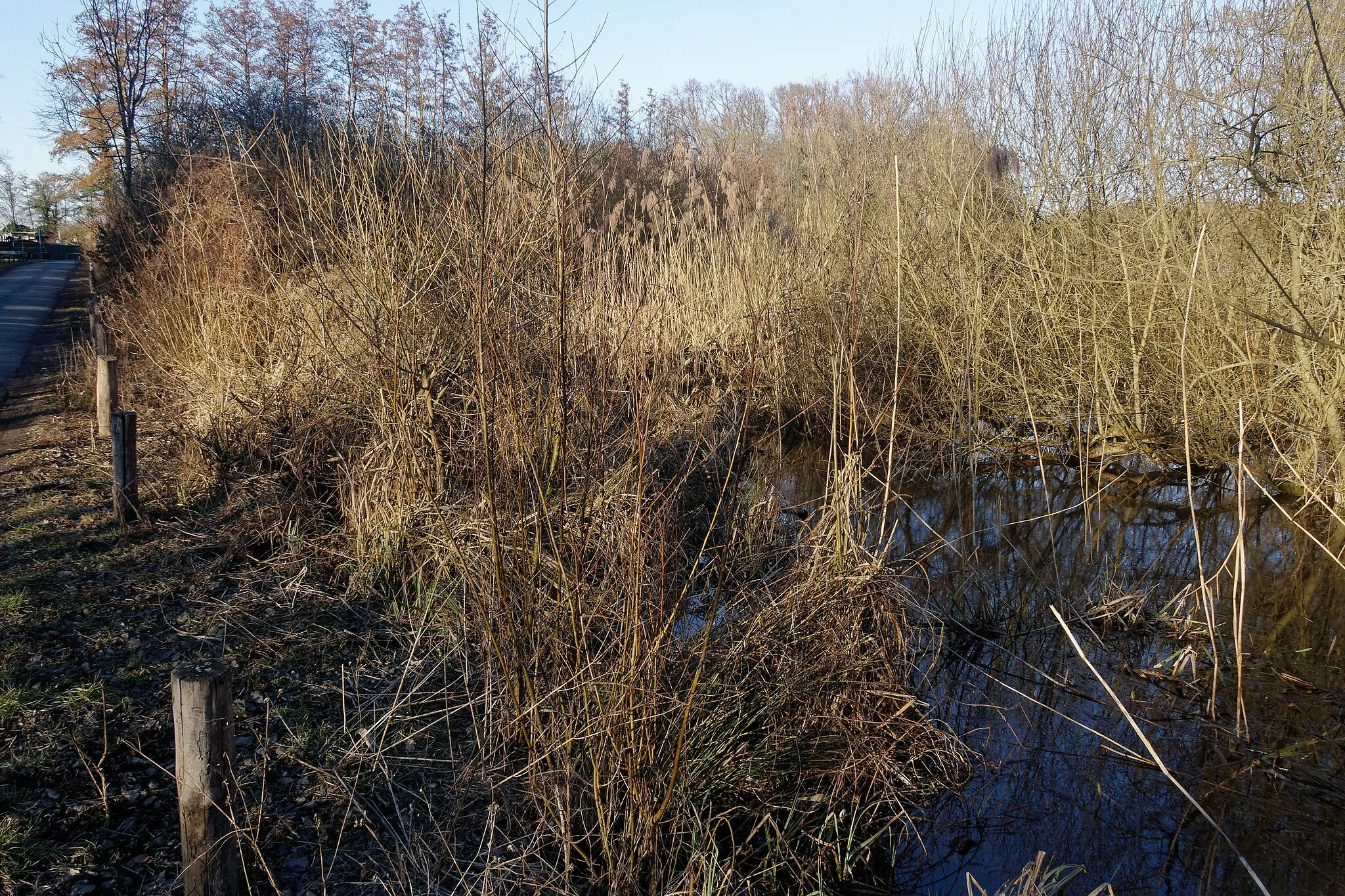 Photo showing: Naturschutzgebiet Untere Fasanerie von Klein-Auheim bei Hanau, Main-Kinzig-Kreis.