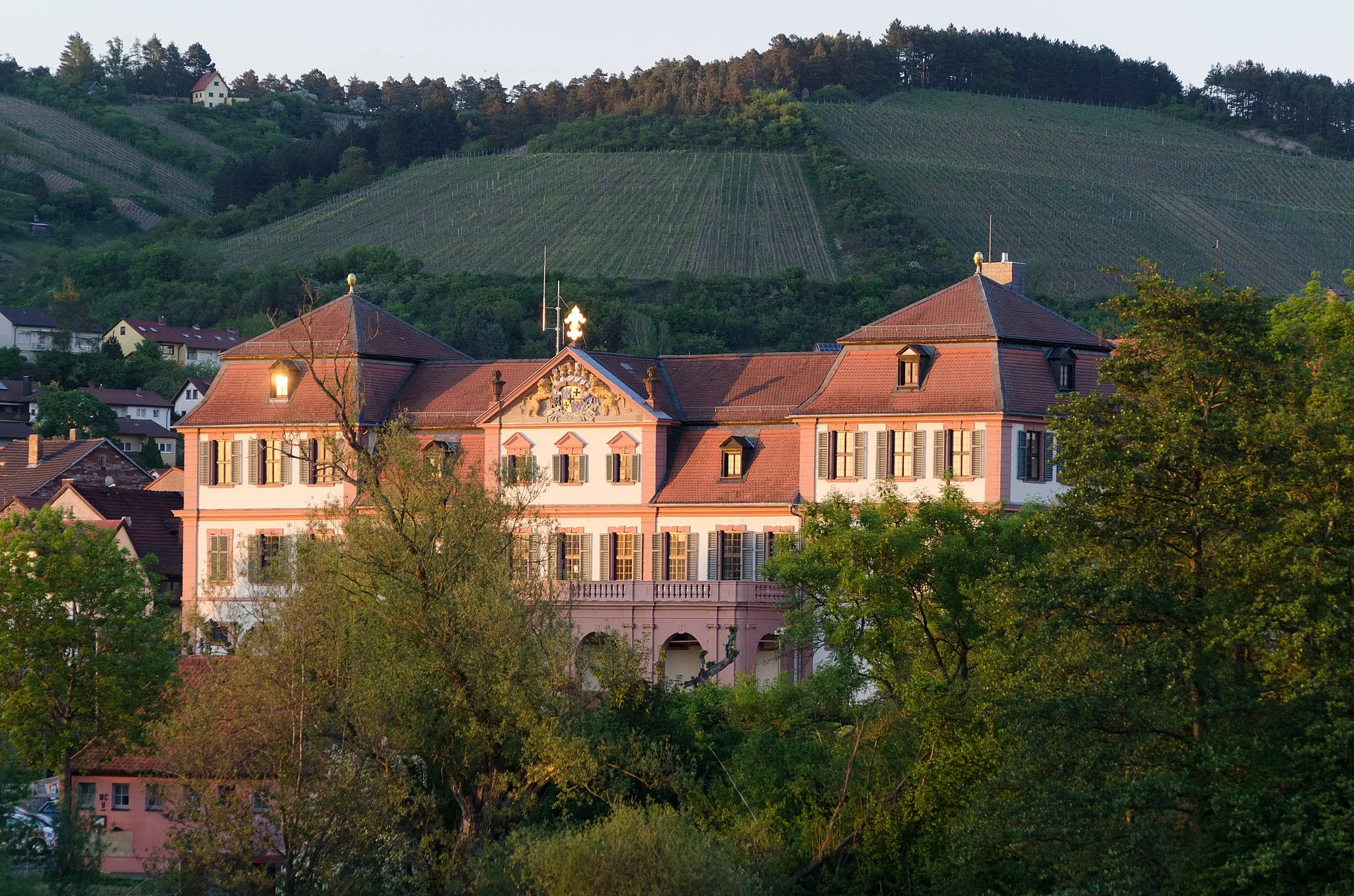 Photo showing: Hammelburg, Schloss von Westen