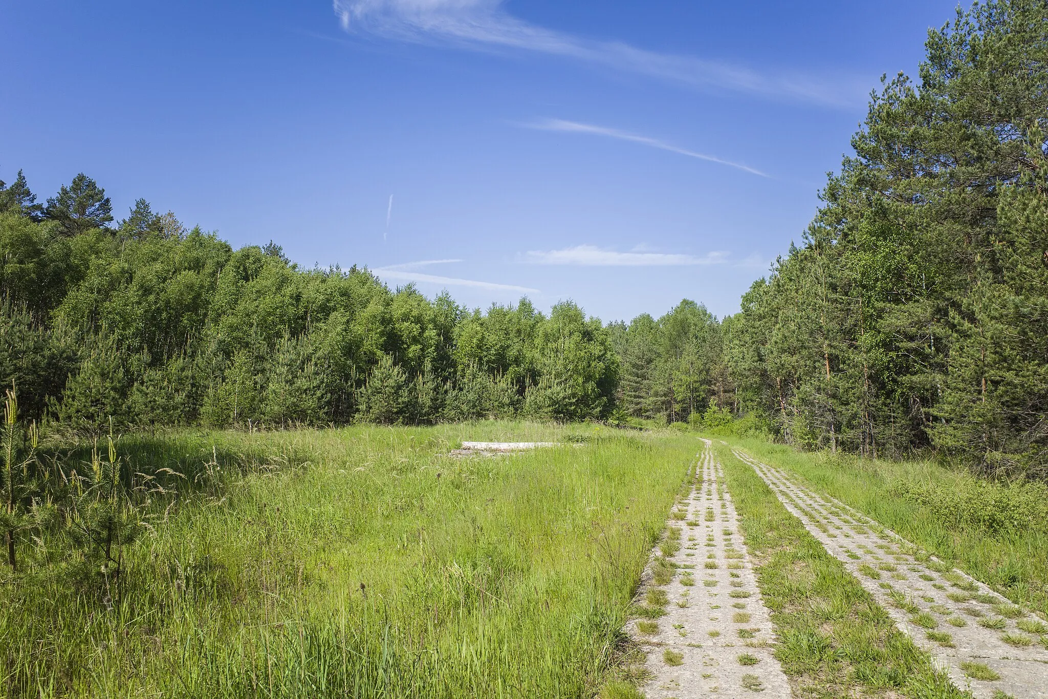 Photo showing: Im Hellinger Haag südöstlich von Schweickershausen, im Nationalen Naturmonument "Grünes Band Thüringen"