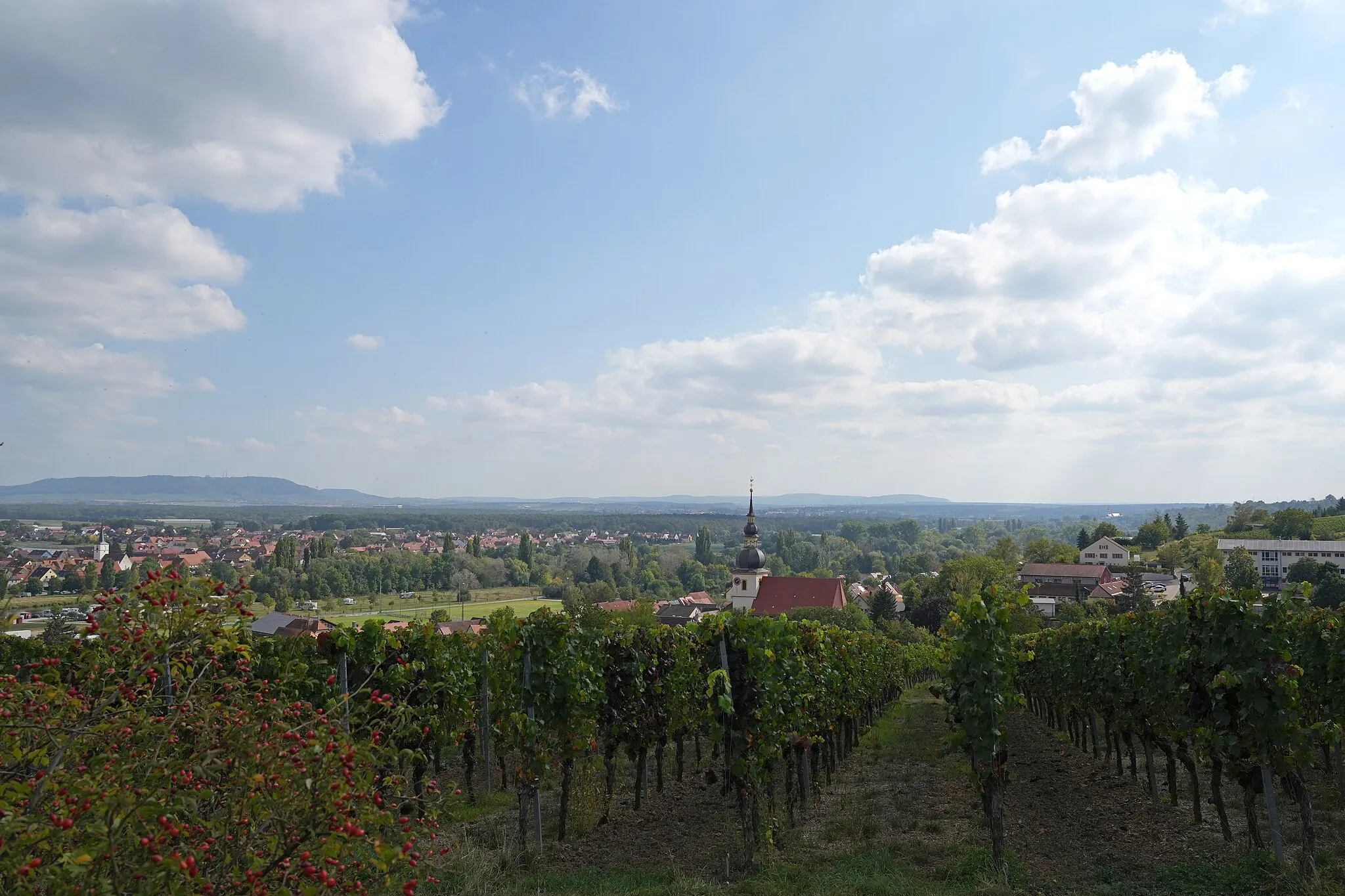 Photo showing: Blick auf Mainstockheim mit Rebzeilen im Vordergrund.