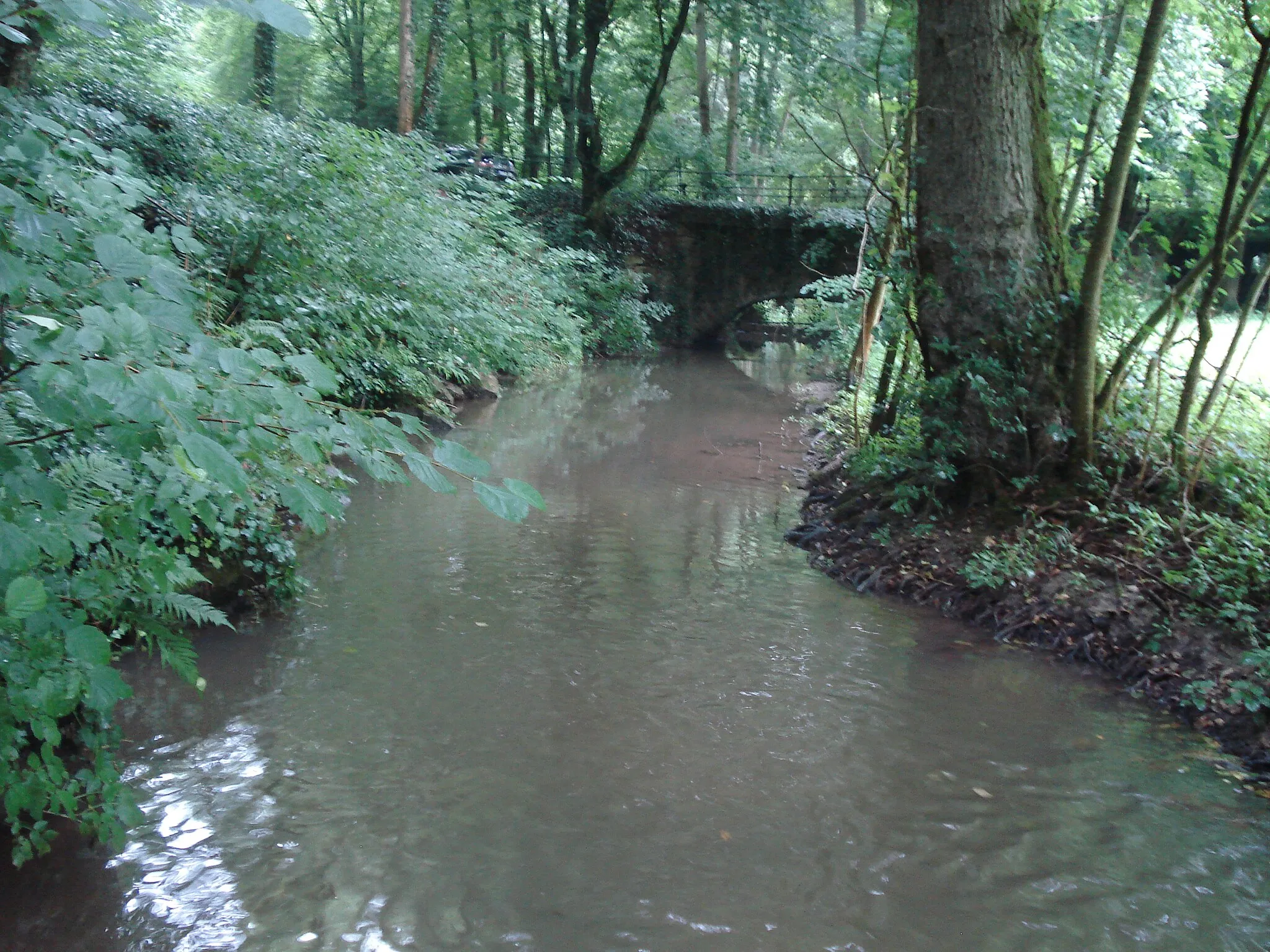 Photo showing: Unterlauf des Karbachs bei der Brunnenmühle von Roden