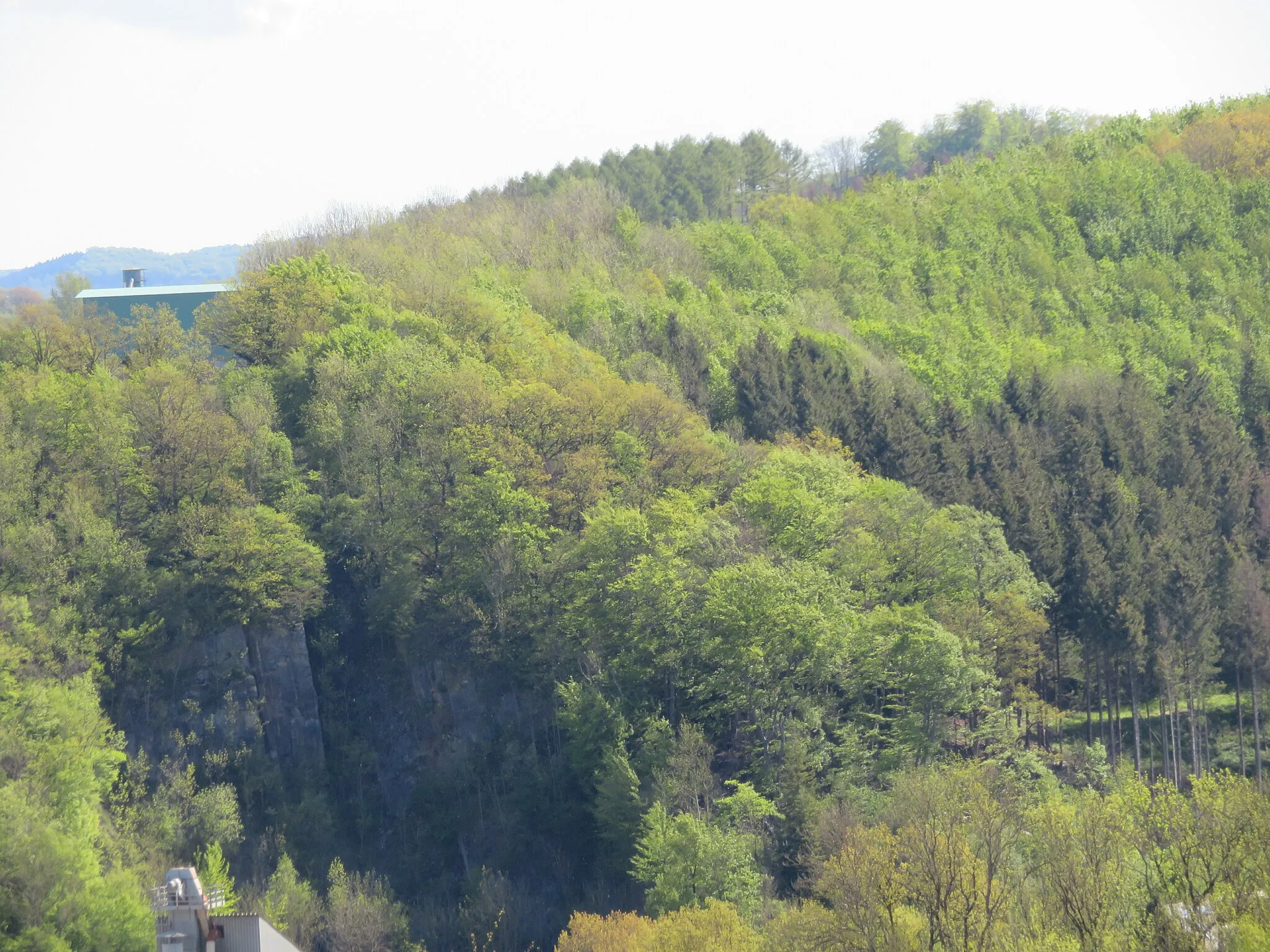 Photo showing: Naturschutzgebiet Westenfelder Kalkknäppchen