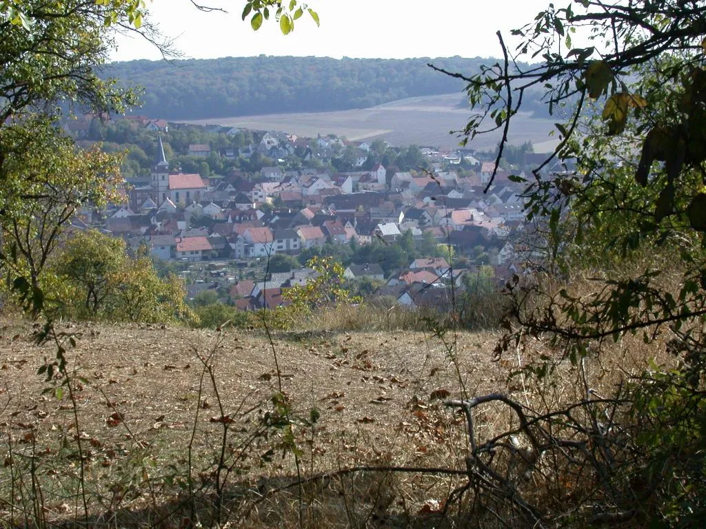 Photo showing: Distanzaufnahme des Ortskerns von Neubrunn. Es sind Kirche sowie Zentral im oberen drittel im Bild das Torhaus zu erkennen.