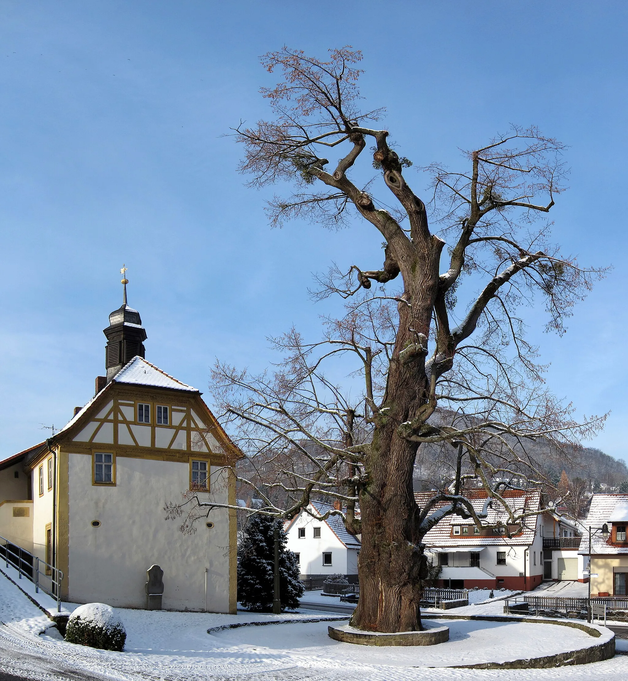 Photo showing: Die Dorflinde steht in Haselbach, einem Ortsteil von Bischofsheim an der Rhön im bayerischen Teil der Rhön. Die etwa 300 Jahre alte Winterlinde (Tilia cordata) ist als Naturdenkmal geschützt und bei der Unteren Naturschutzbehörde des Landkreises Rhön-Grabfeld mit der Nummer 504 und der Bezeichnung Dorflinde gelistet. Im Jahr 2010 hatte der Stamm einen Umfang von 7,3 Meter und eine Höhe von 25 Meter.