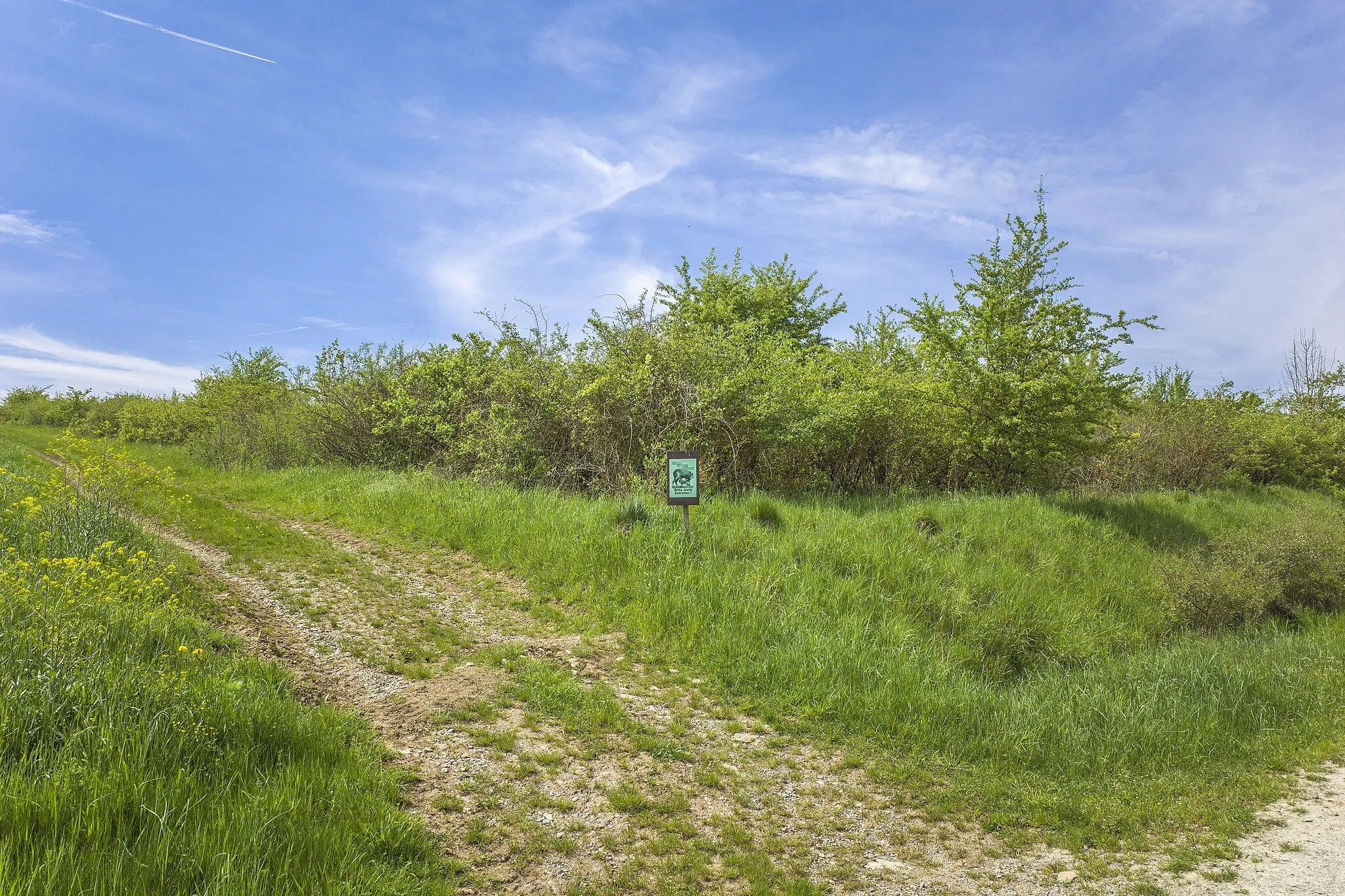 Photo showing: Wildruhezone westlich von Madenhausen