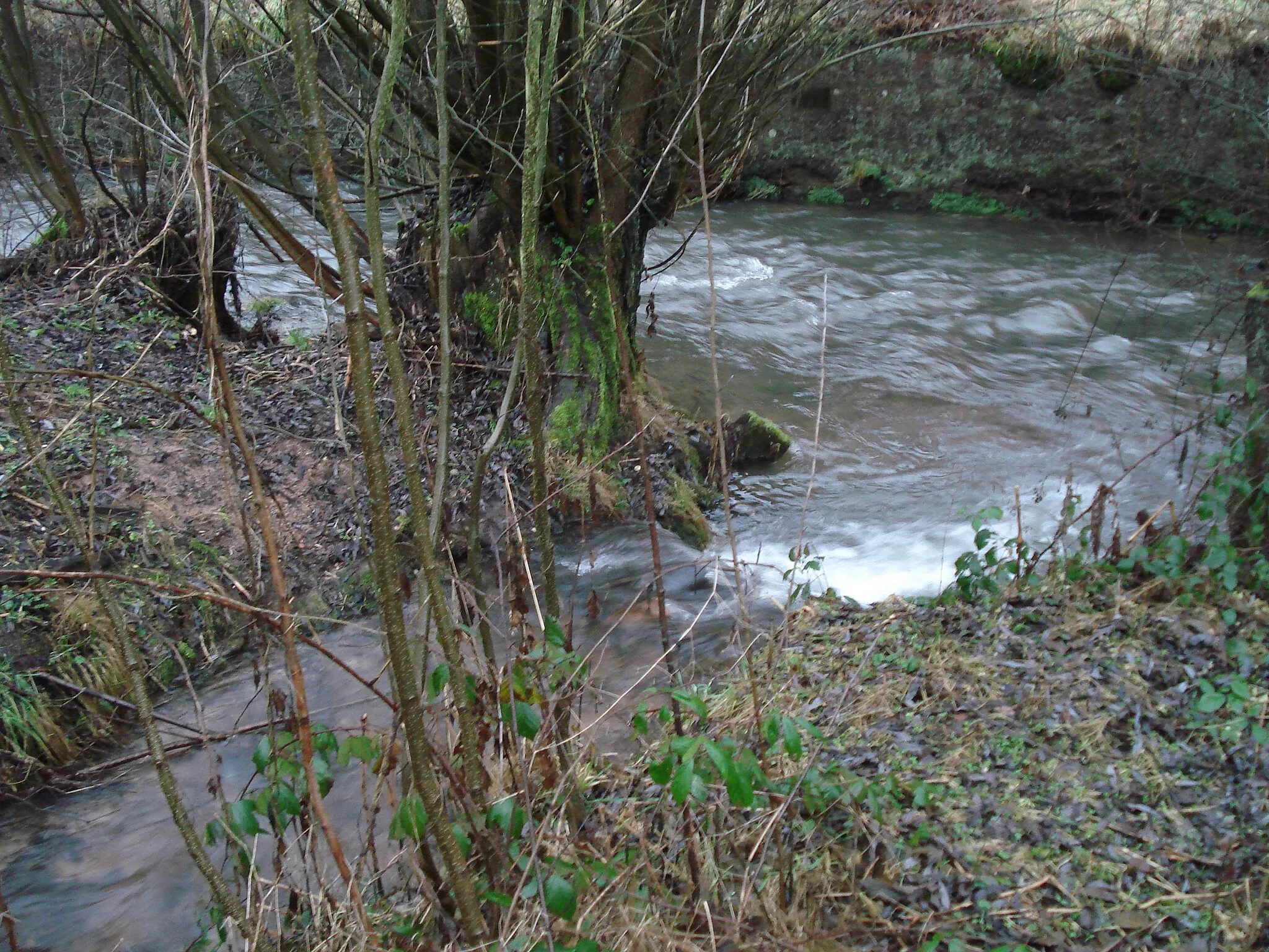 Photo showing: Der Roßbach (vorne) mündet in die Lohr