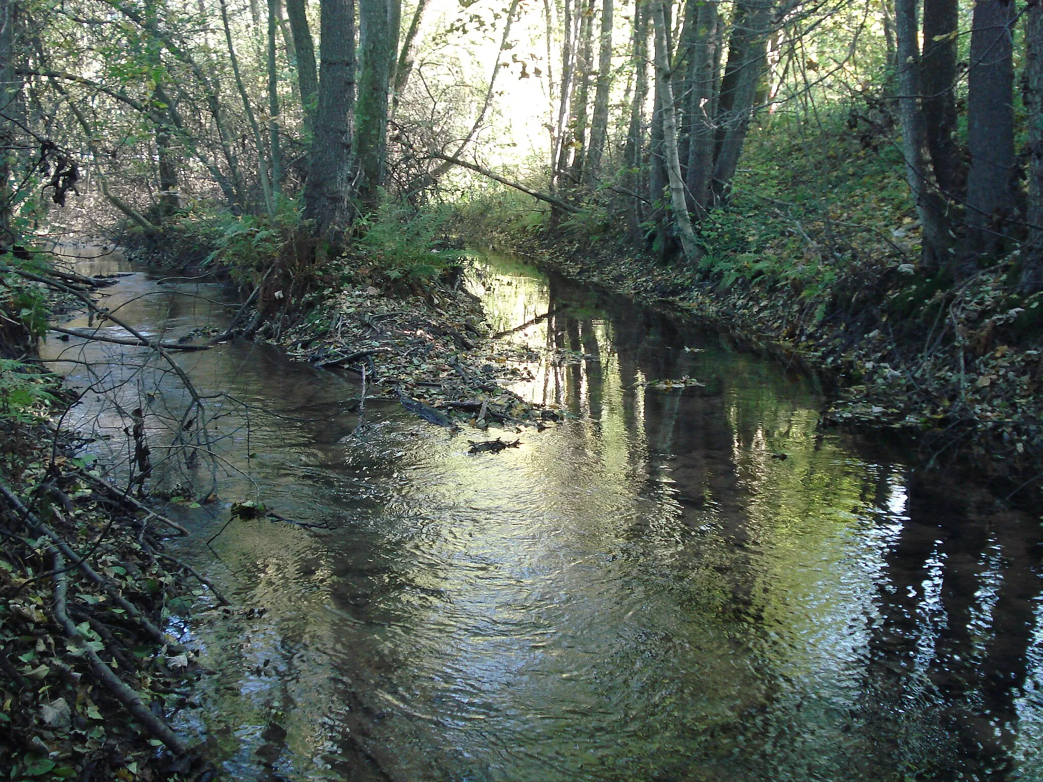 Photo showing: Der Dammbach vor der Mündung in die Elsava