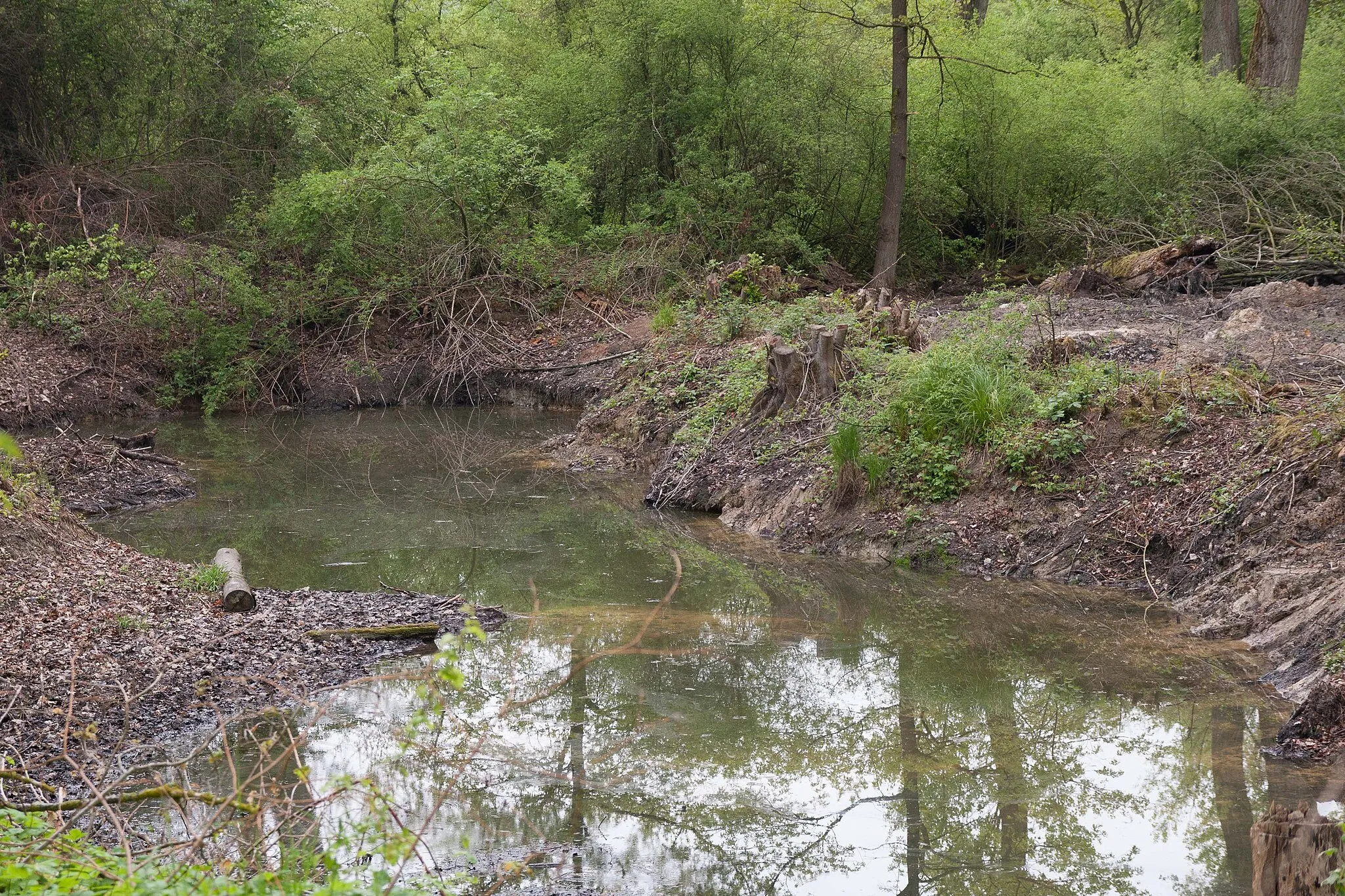 Photo showing: Naturschutzgebiet „Tagkaute von Lieblos“ (NSG 1435020) in Gründau, Hessen