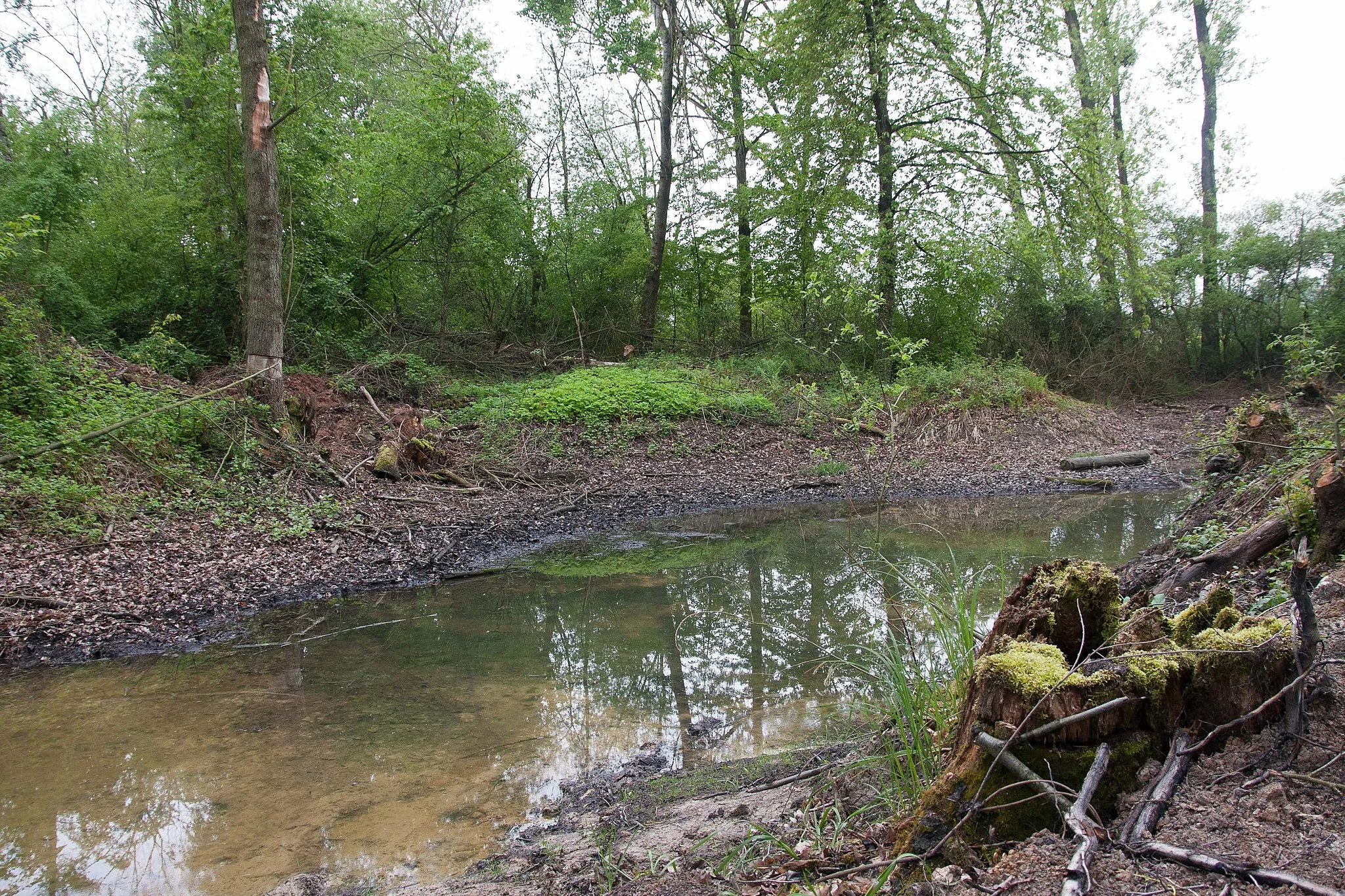 Photo showing: Naturschutzgebiet „Tagkaute von Lieblos“ (NSG 1435020) in Gründau, Hessen