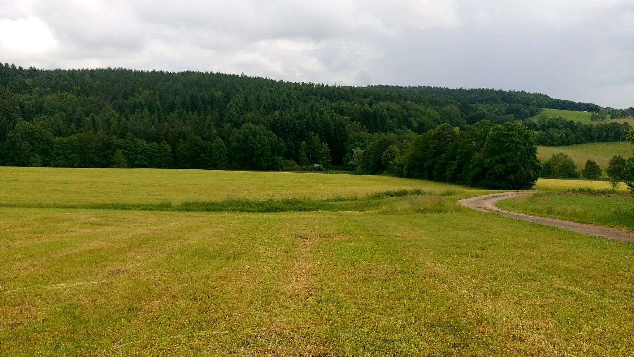 Photo showing: Die Erkelshöhe von Wiesen aus gesehen