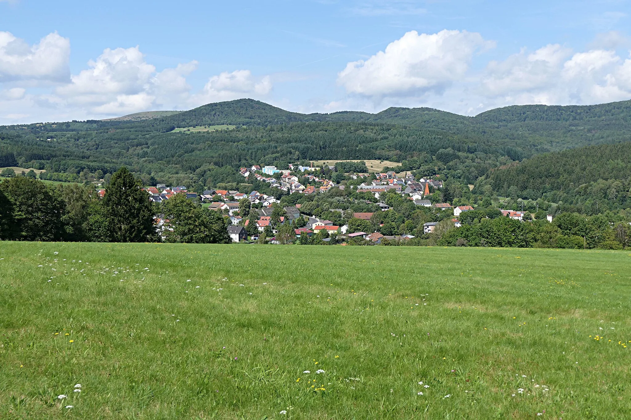 Photo showing: Wildflecken von Süden