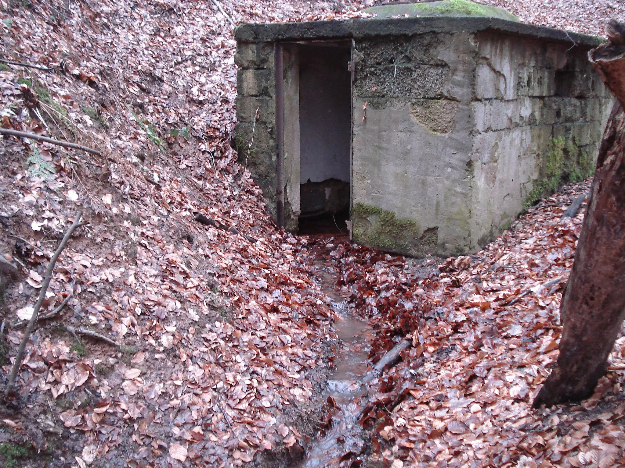 Photo showing: Der Born bei Oberschur. Ihm entspringt der Oberschurbach.