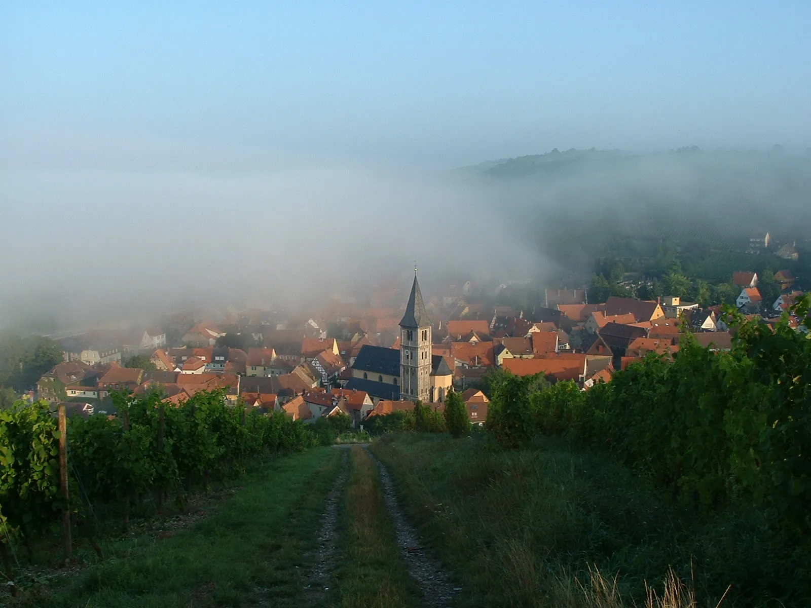 Photo showing: Randersacker im Nebel.