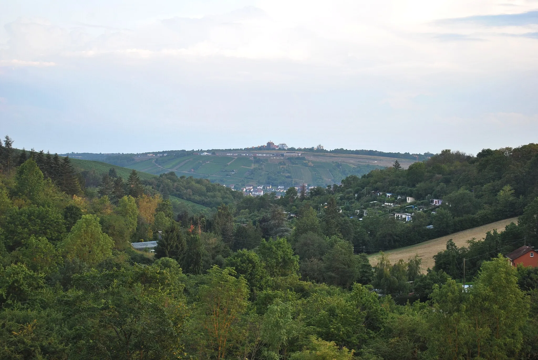 Photo showing: Blick von Gartenstadt Keesburg, Würzburg-Frauenland auf Würzburg-Heidingsfeld, Heuchelhof