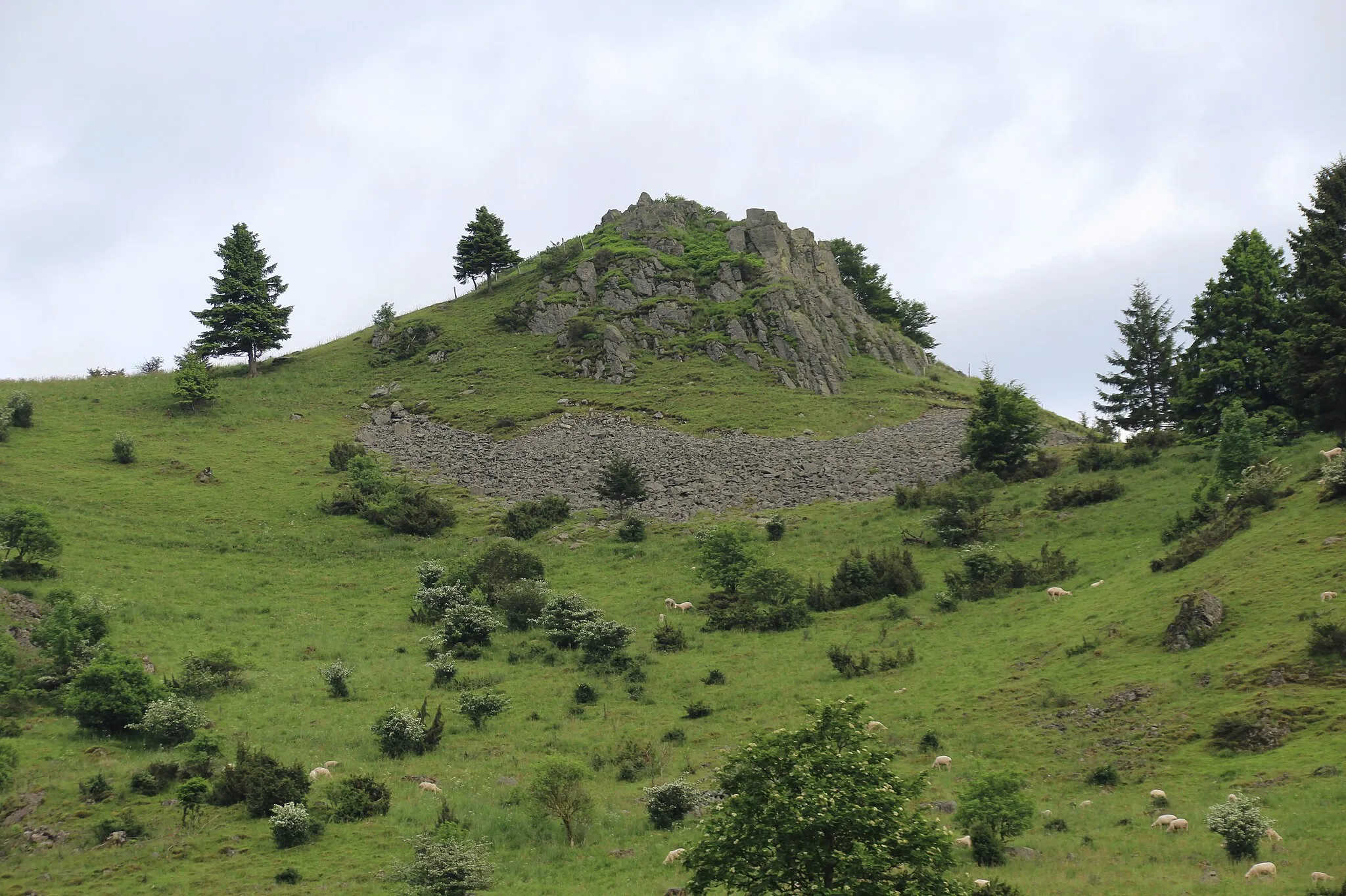 Photo showing: Felsformation am Pferdskopf, westlich des Gipfels mit Schutthalden am Hang. Blick aus nördlicher Richtung