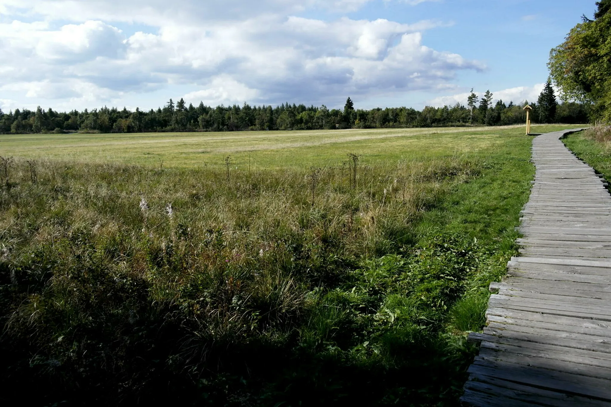 Photo showing: (NSG:BY-NSG-00152.01)_Lange Rhön. Schwarzes Moor im Biosphärenreservat Bayrische Rhön.