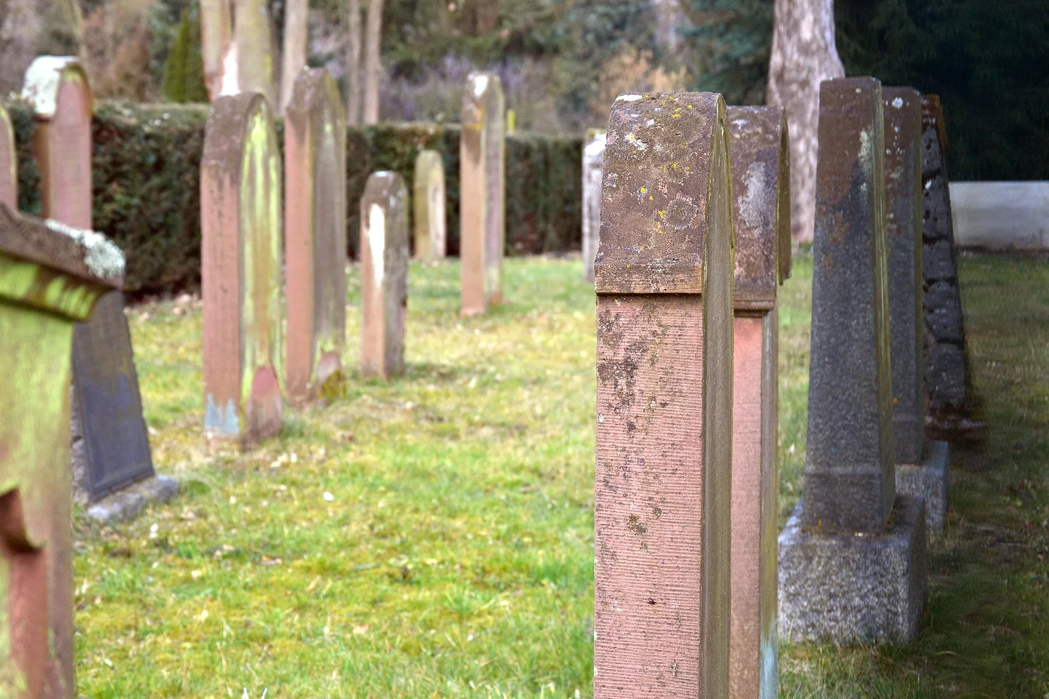 Photo showing: Old jewish cemetary Marköbel.