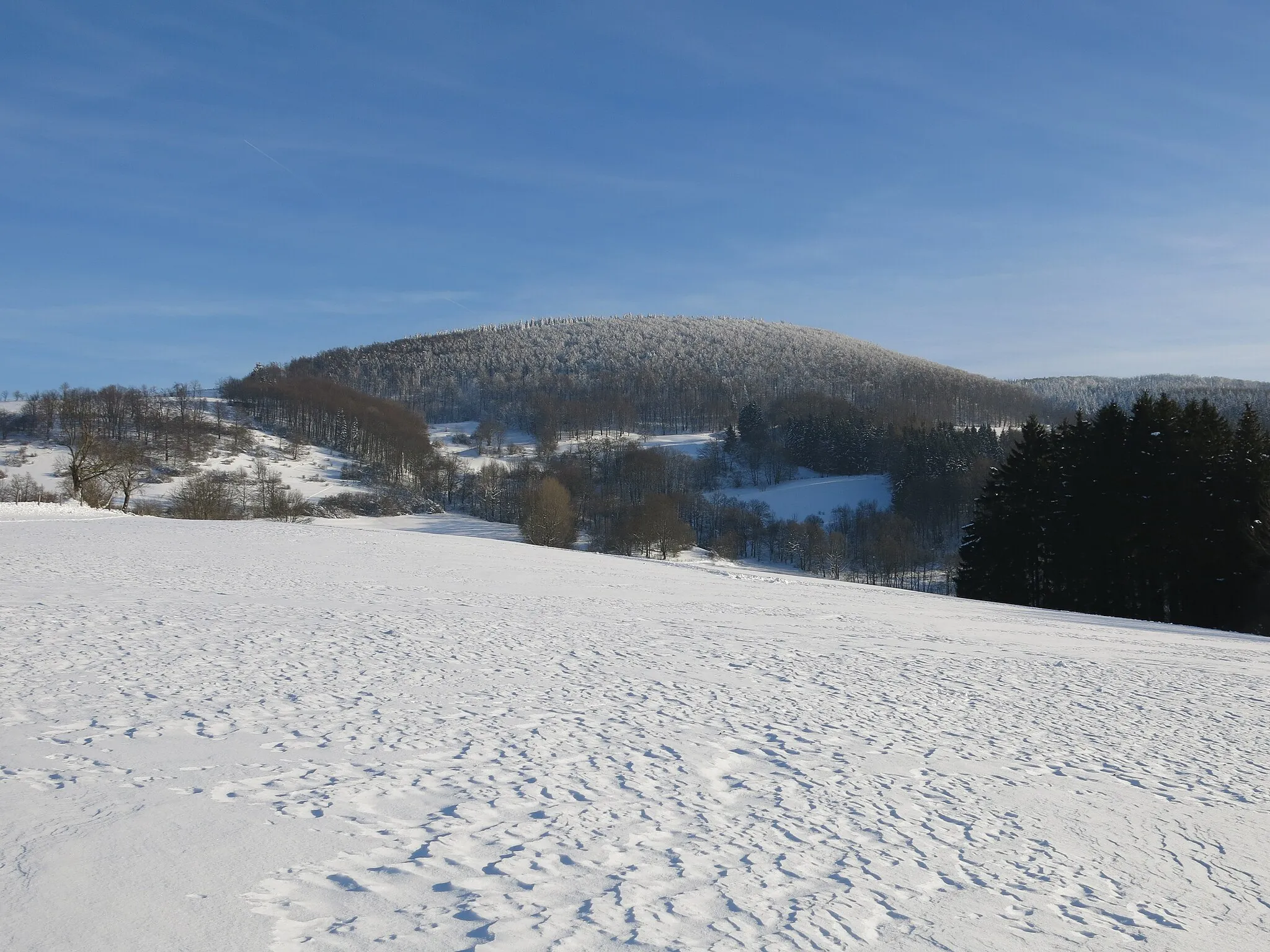 Photo showing: View from North to Hohe Hölle in the Rhön Mountains.