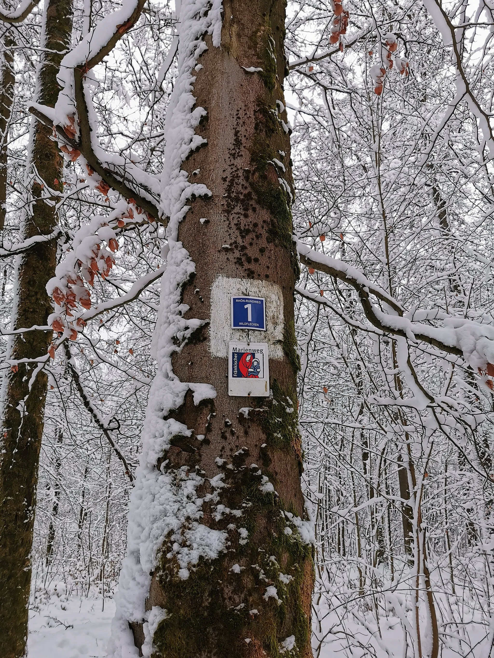 Photo showing: Wegweiser des Fränkischen Marienweges auf dem Kleinen Guckas in der Rhön