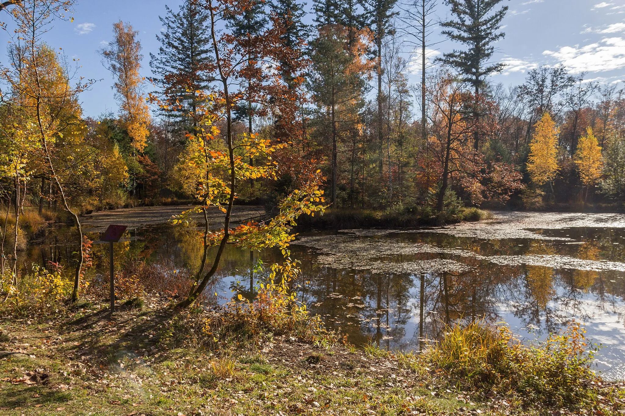 Photo showing: Schwanberg, Birkensee auf dem Gipfel, Iphofen, Landschaftsschutzgebiet und Naturparks Steigerwald, Vogelschutzgebiet Südlicher Steigerwald, FFH-Gebiet Vorderer Steigerwald mit Schwanberg