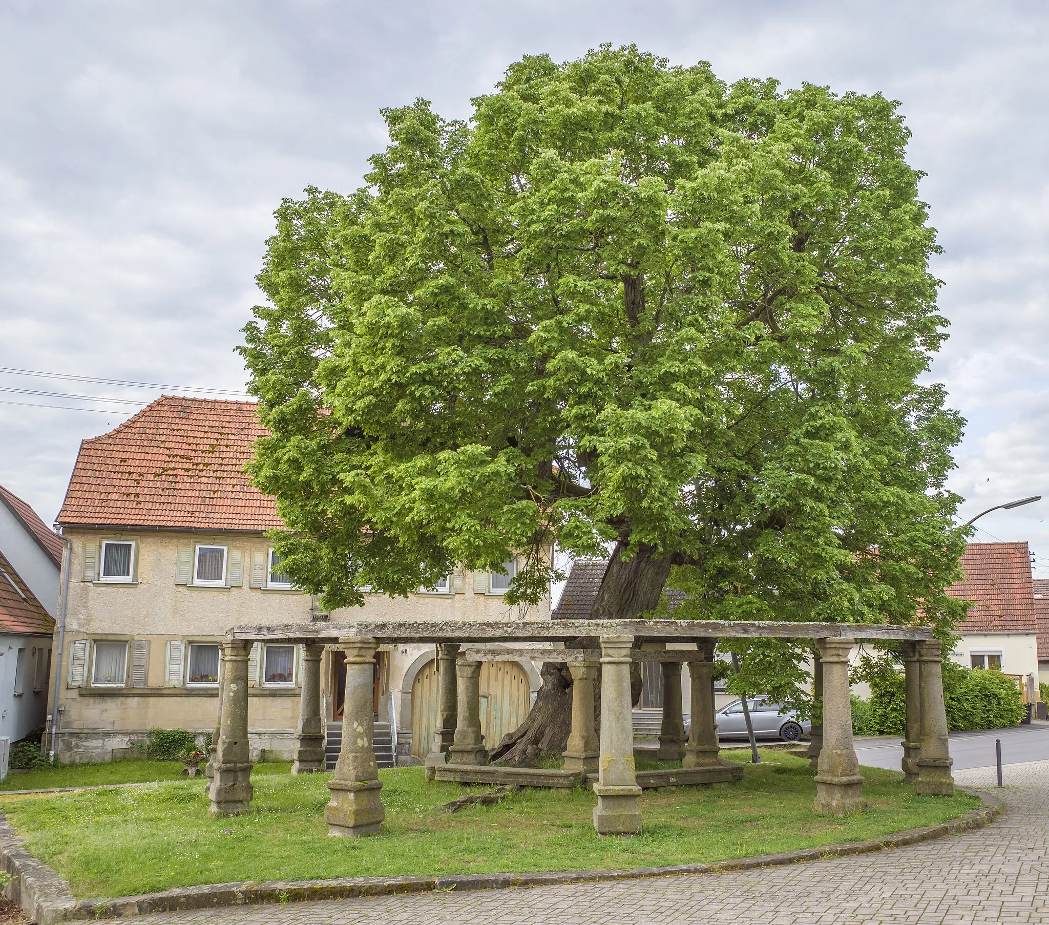 Photo showing: Naturdenkmal 678.N.51 "Linde vor der Kirche, Sommerlinde, 'Dorflinde'" (auch "Gerichtslinde") in Birnfeld, Stadtlauringen, Landkreis Schweinfurt