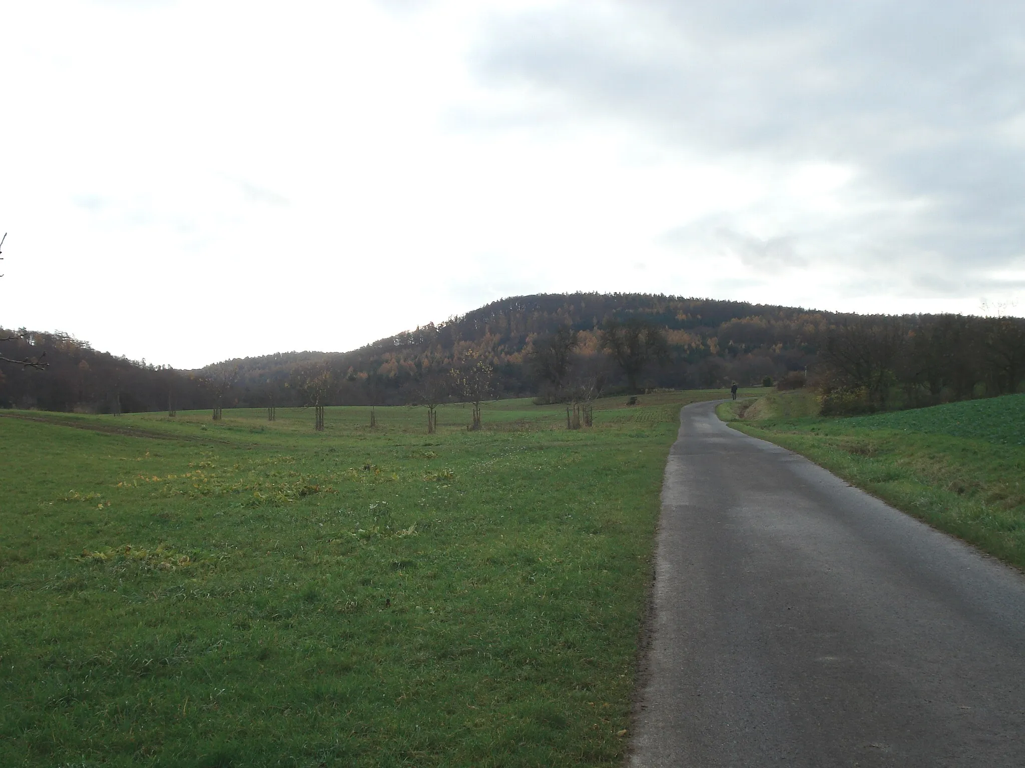 Photo showing: Der Schanzenkopf bei Alzenau von Norden