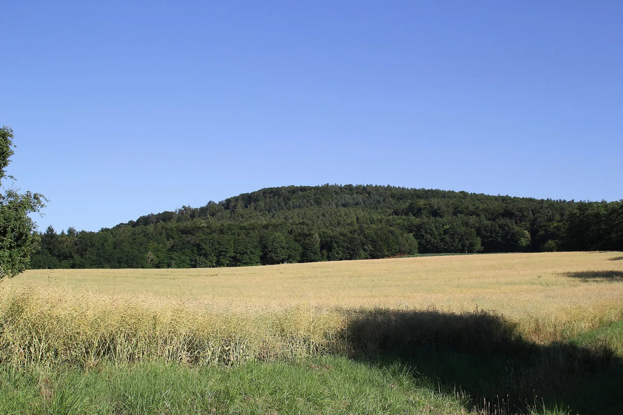 Photo showing: Der Schanzenkopf am Hahnenkamm bei Alzenau in Bayern