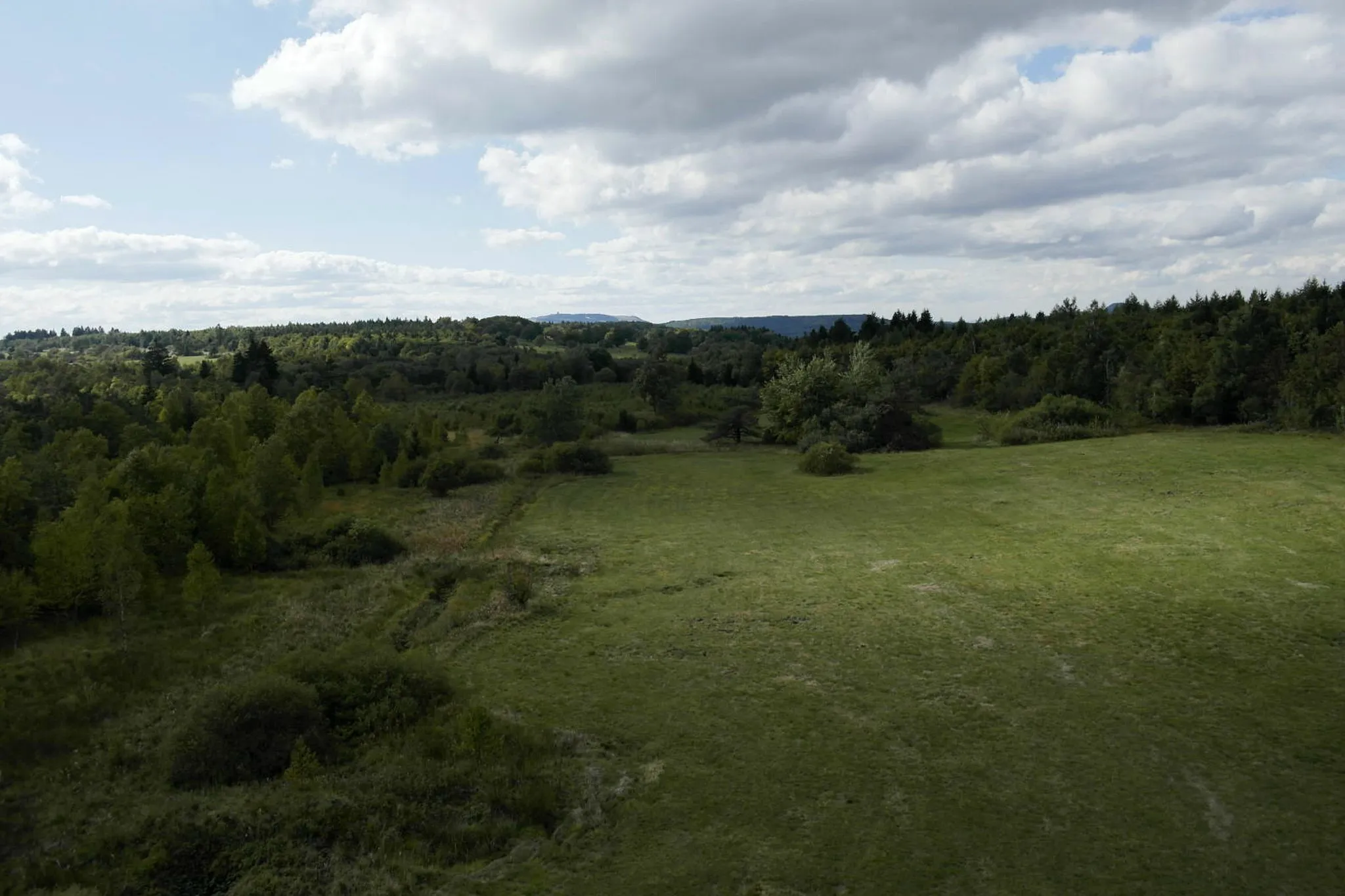 Photo showing: (NSG:BY-NSG-00152.01)_Lange Rhön. Schwarzes Moor Moor im Biosphärenreservat Bayrische Rhön.