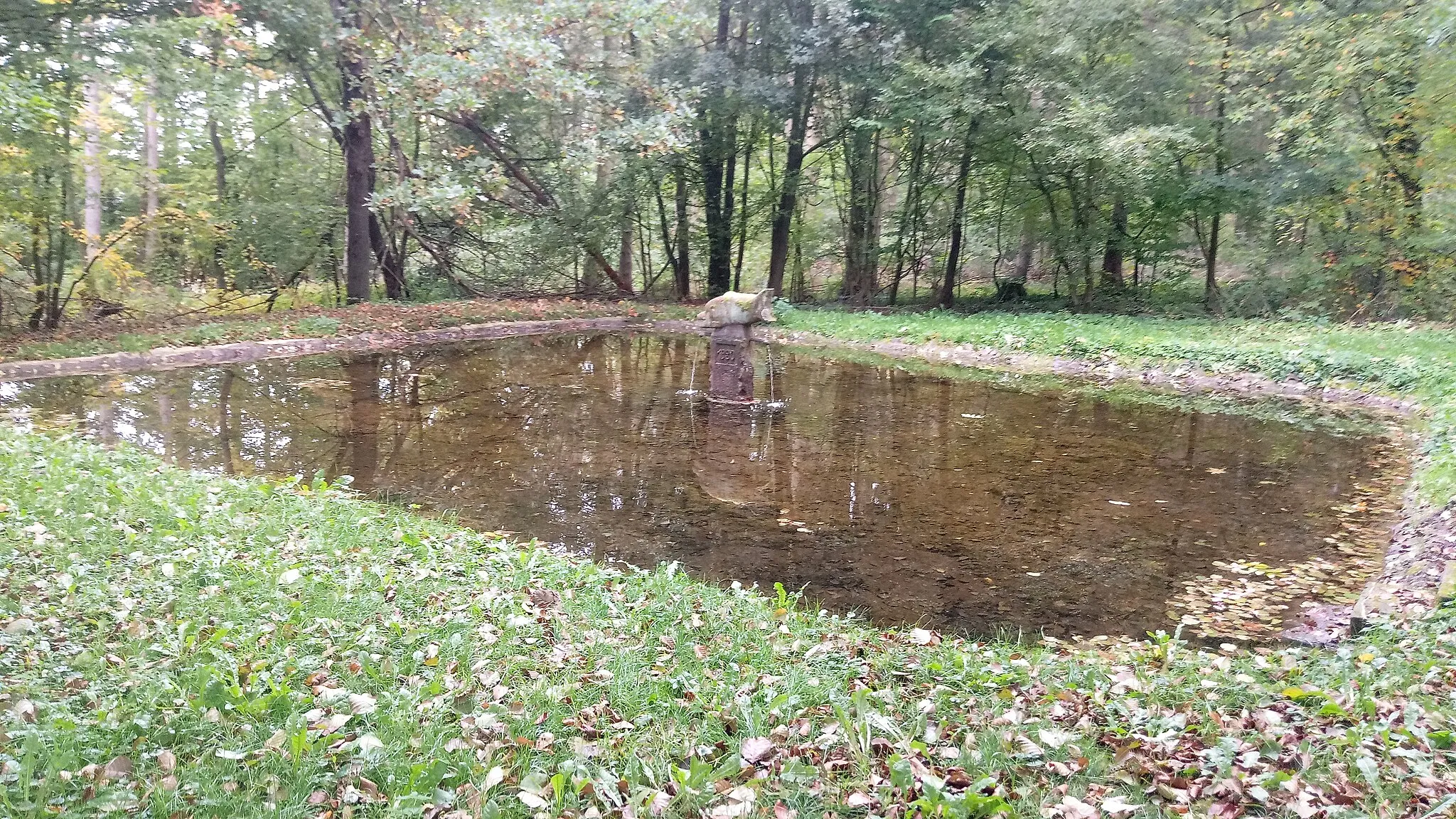 Photo showing: Teich beim Zeltplatz Kappelhütte